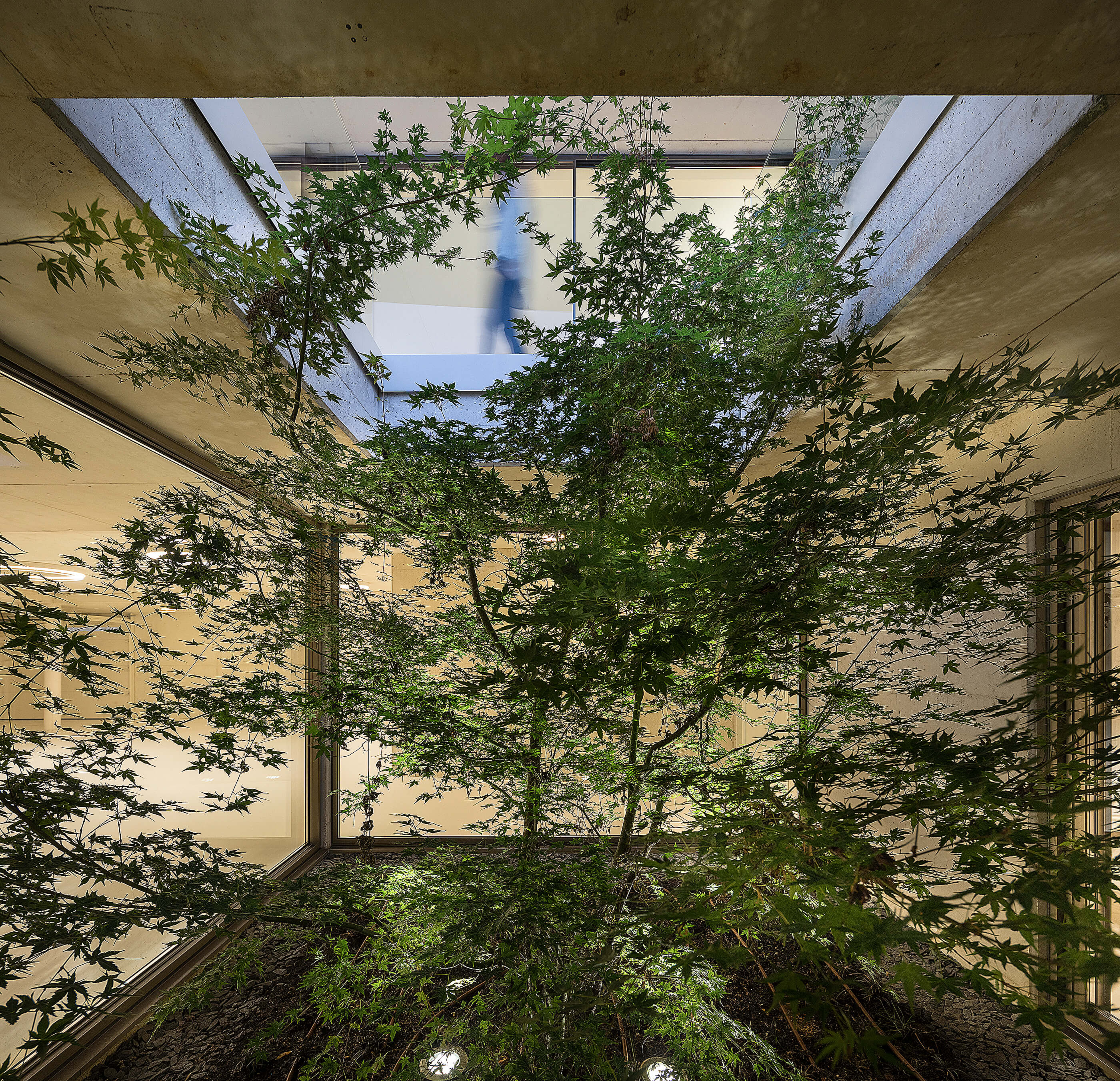 Reportagem Fotografia de arquitectura portuguesa fotografo Ivo tavares studio projecto Casa em Águeda do Espaço Objecto