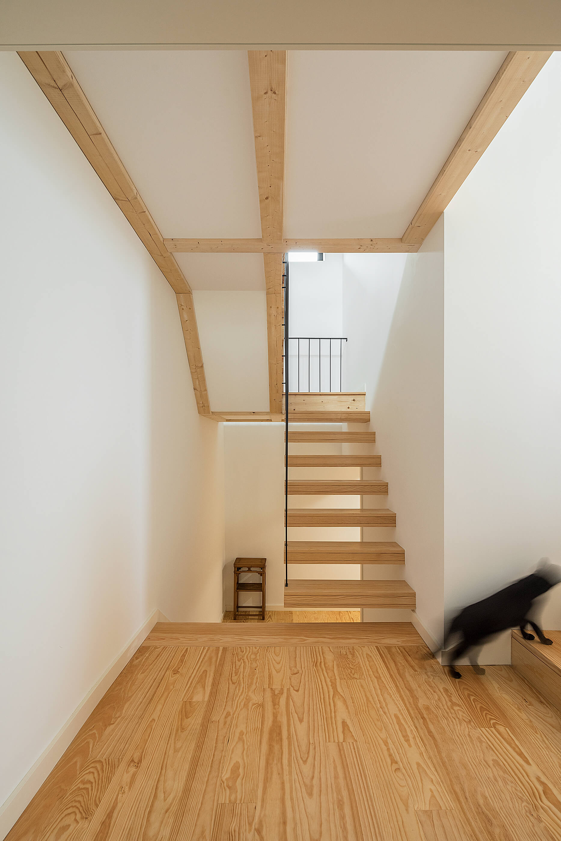 Reportagem Fotografia de arquitectura portuguesa fotografo Ivo tavares studio projecto Casa Santa Marinha de Paulo Moreira Architecture.