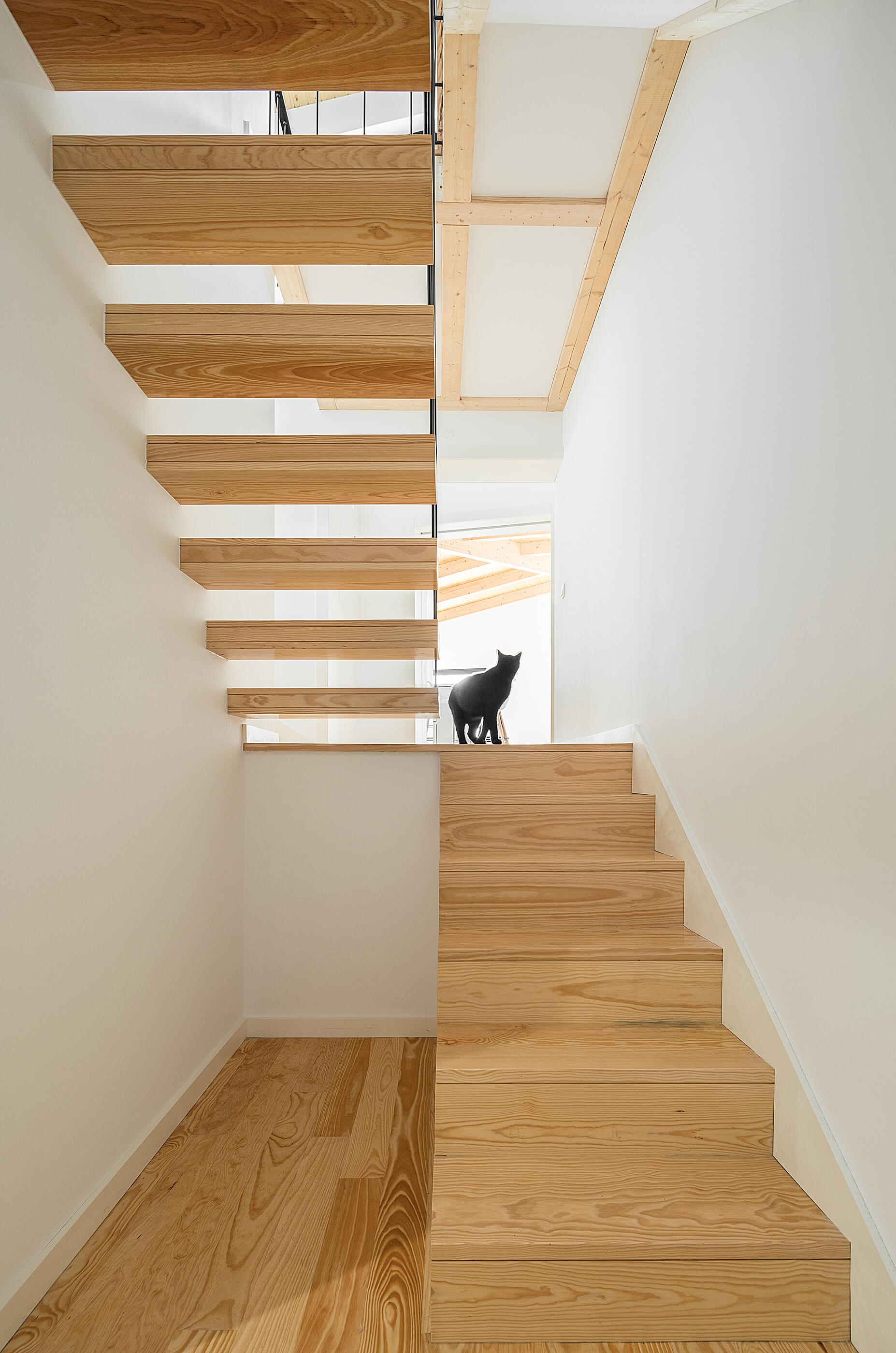 Reportagem Fotografia de arquitectura portuguesa fotografo Ivo tavares studio projecto Casa Santa Marinha de Paulo Moreira Architecture.