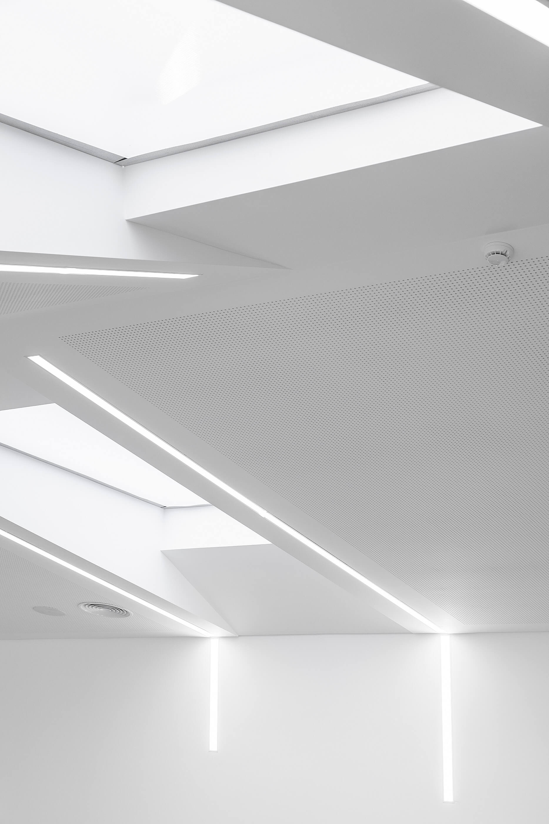 Detalhe do teto branco com claraboias e iluminação linear. Design minimalista e moderno. — Academia20 arquitetura StudioWorkers em Espinho