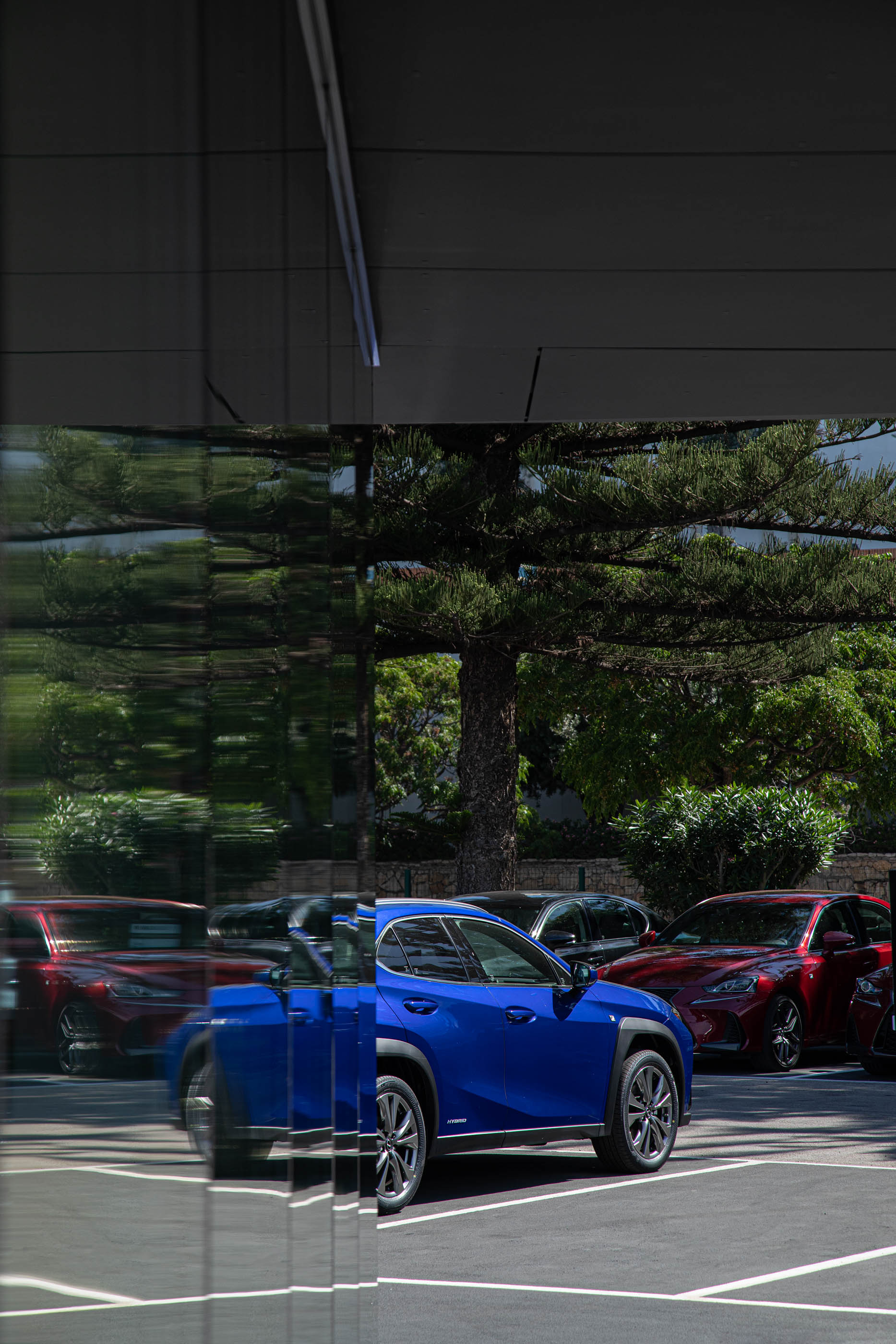 Reflexo de carros e vegetação no vidro da fachada do stand Lexus, criando uma composição abstrata e colorida. — Stand Lexus Faro arquitetura Rarcon Arquitectura em Portugal