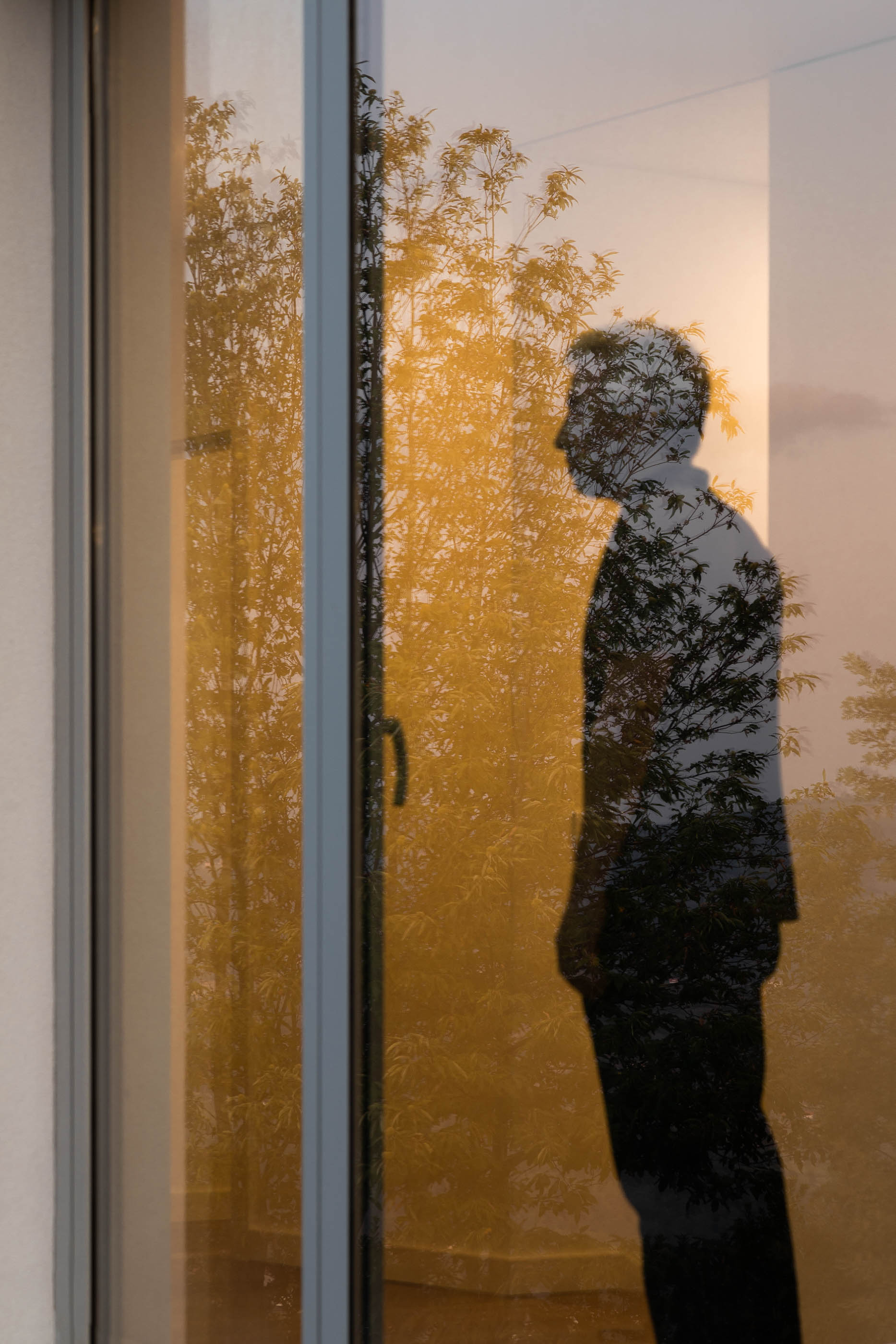 Reflexo de um homem numa janela com a paisagem ao fundo. — Casa em Lamego arquitetura António Ildefonso Arquitectura em Portugal