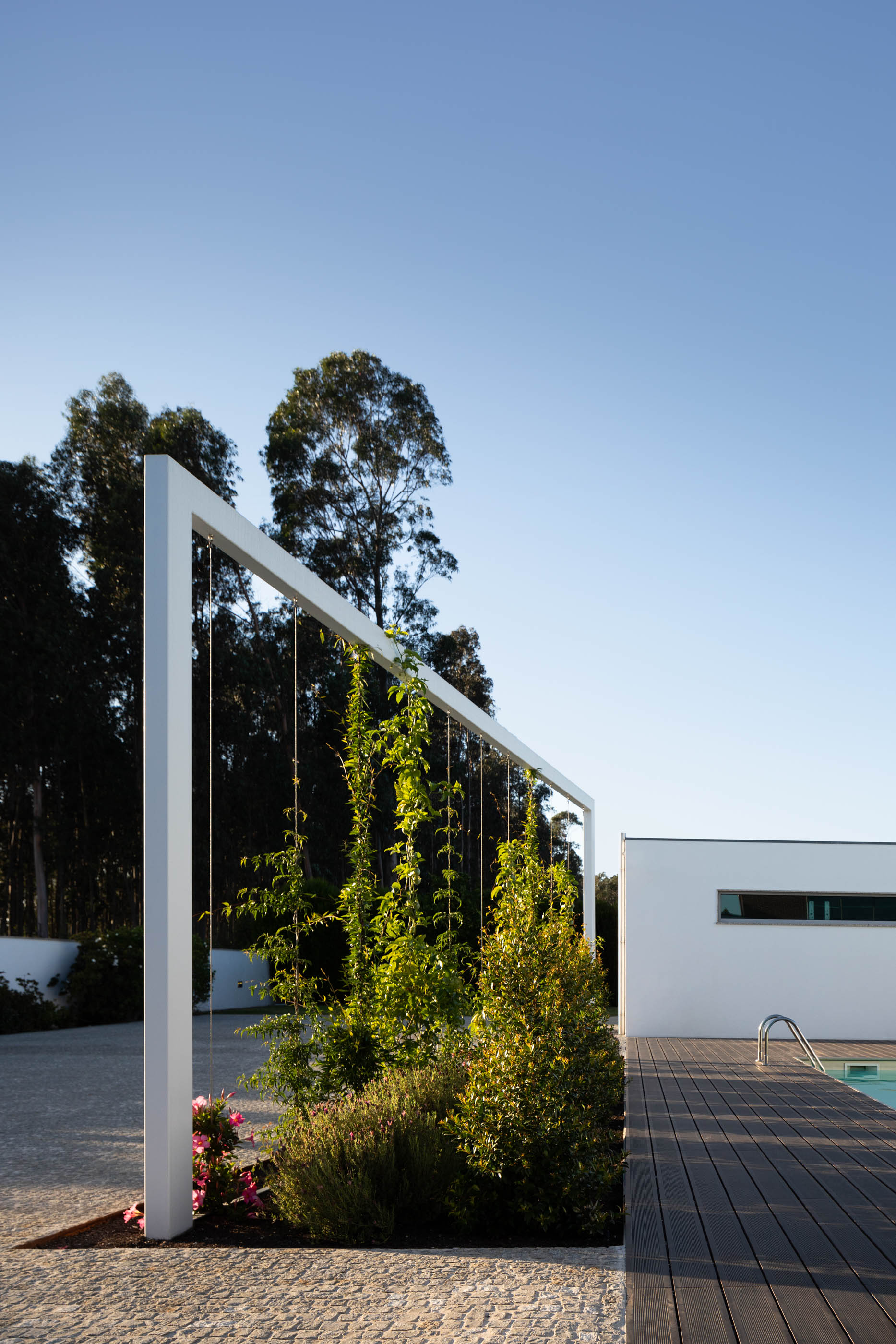 Detalhe da pérgola branca com plantas junto à piscina, com pavimento em madeira e relvado. — Reabilitação Casa J arquitetura Frari em Portugal