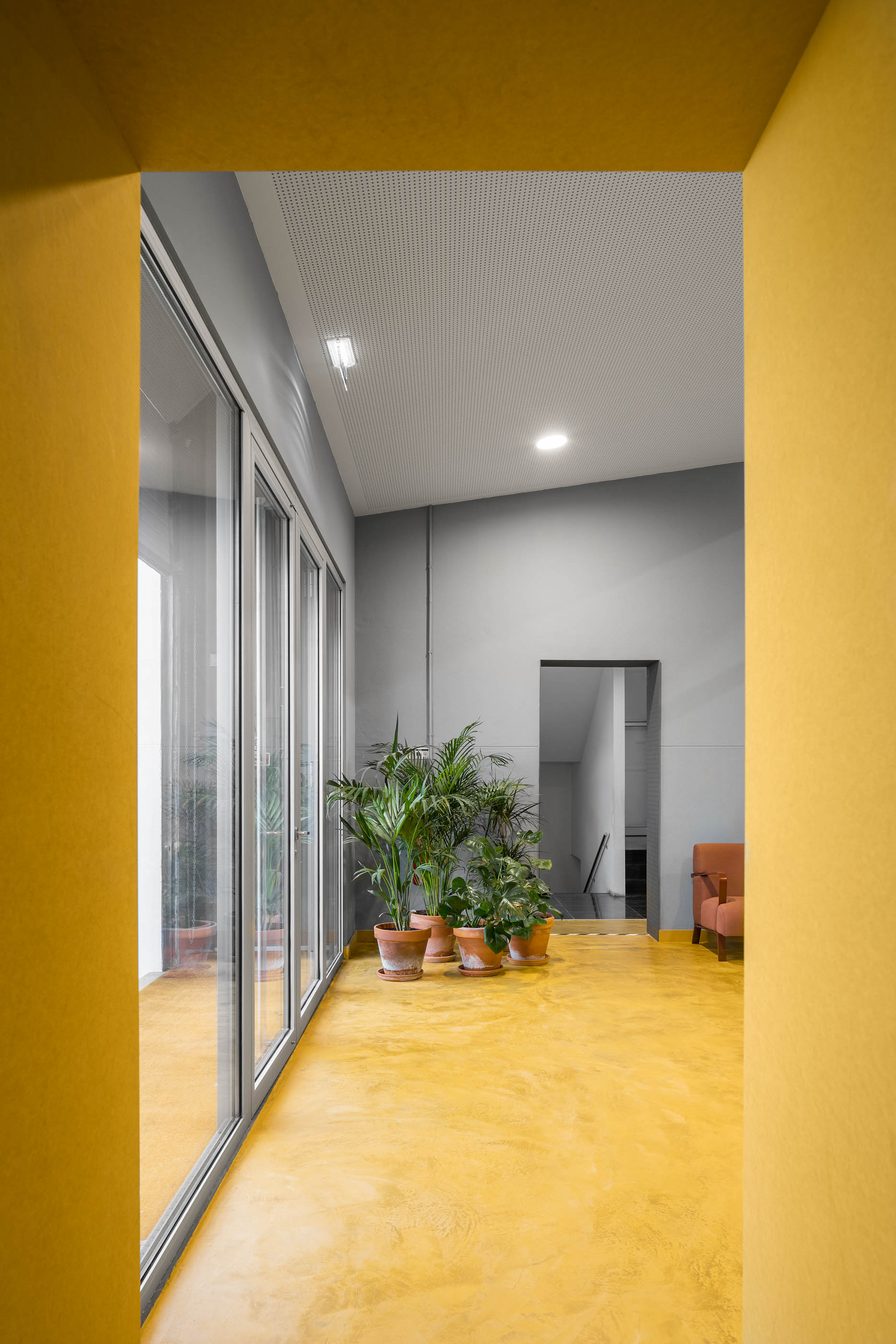 Divisão interior: Corredor amarelo com plantas, chão em resina amarela, paredes cinzentas e janelas amplas. — HBK Spectris Innovation Centre arquitetura Studium Creative Studio em Porto