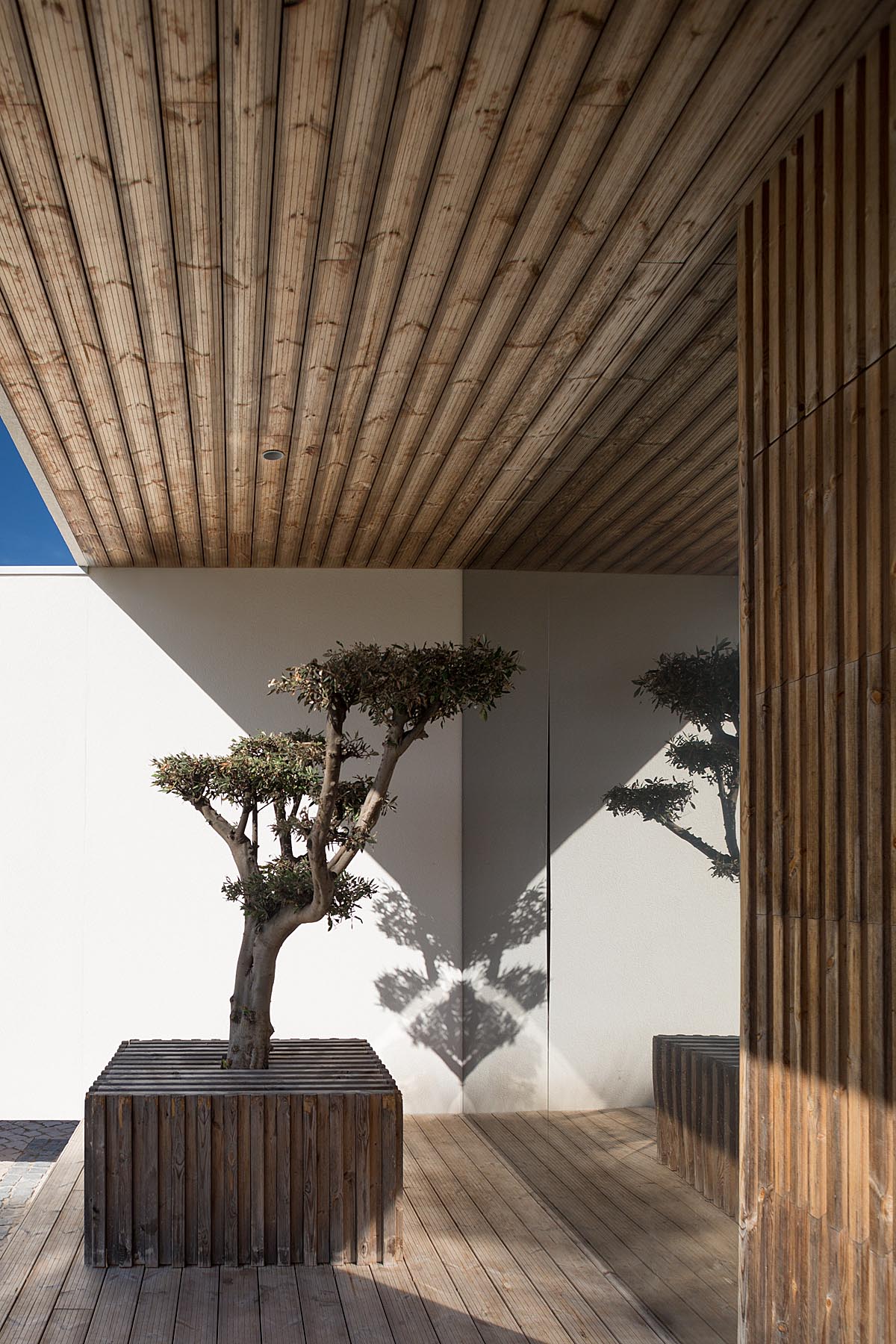 Quinta Molis Belta Em Vagos Do Atelier De Arquitetura Romulo Net