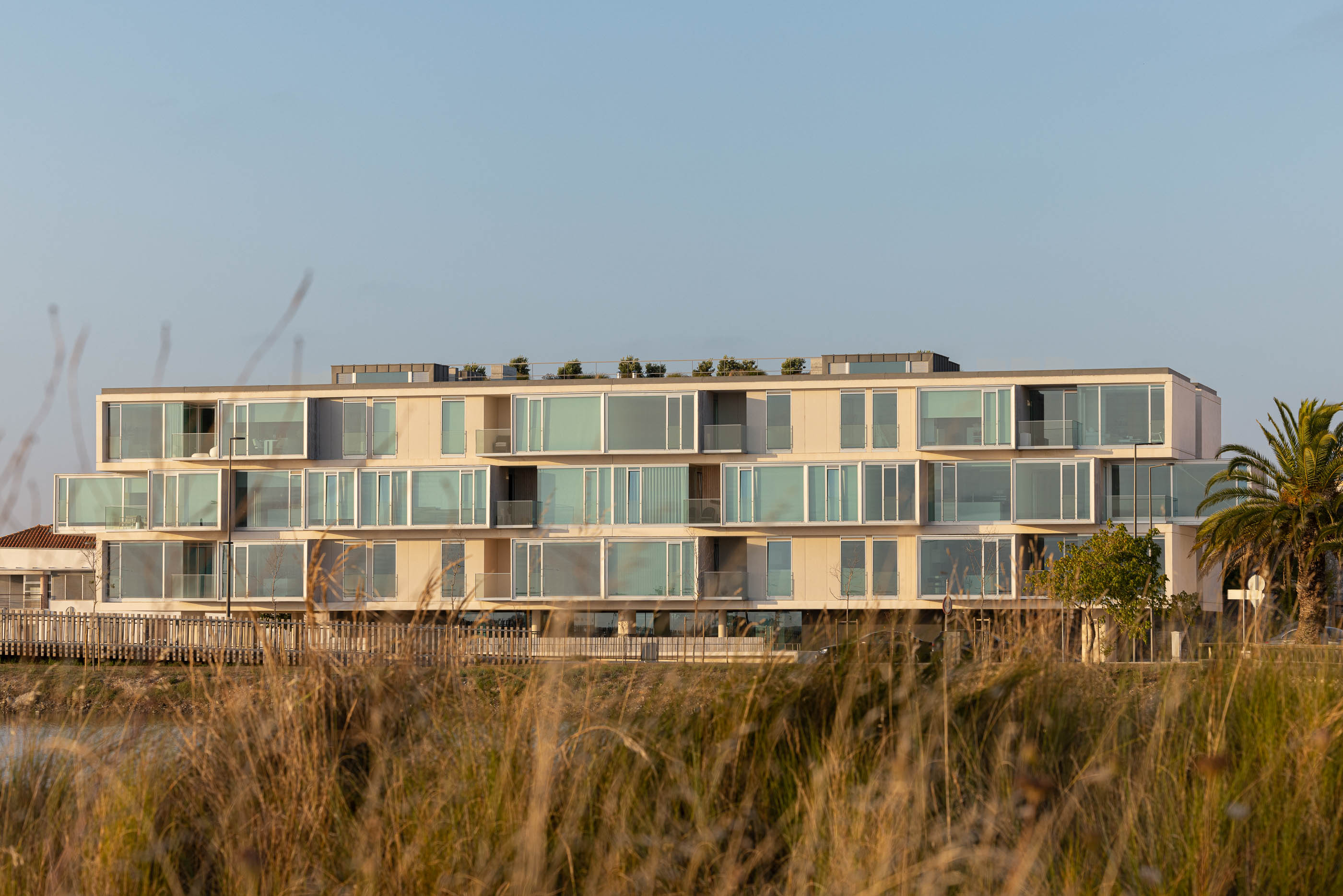 Fachada: Edifício moderno com varandas envidraçadas e revestidas a madeira, visto através de vegetação rasteira. — Edifício ORIZZONT arquitetura RVDM - Ricardo Vieira de Melo, arquitectos em Aveiro