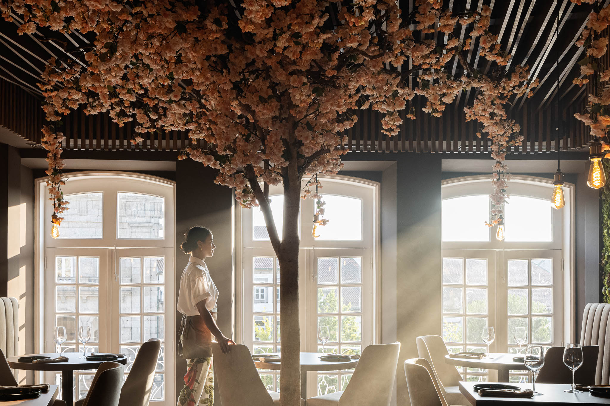 Restaurante com mesas de madeira escura, cadeiras e sofás em tons neutros, iluminação suave e árvore florida decorativa. — Restaurante 34 arquitetura REM'A Arquitectos em Guimarães