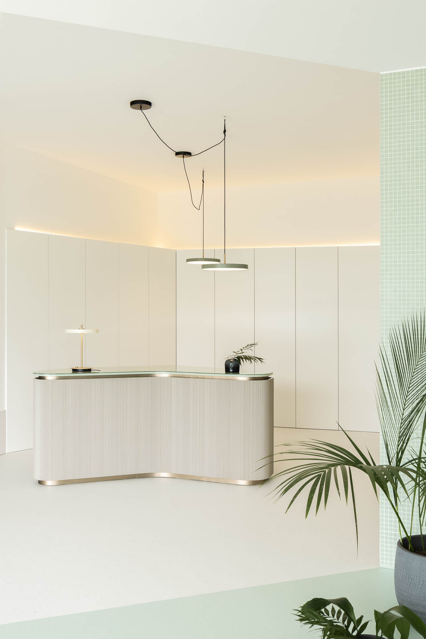 Recepção com balcão curvo em madeira clara, iluminação indireta e plantas, transmitindo uma imagem moderna e cuidada. — Think Health Naturopatia arquitetura BOX arquitectos em Ponta Delgada