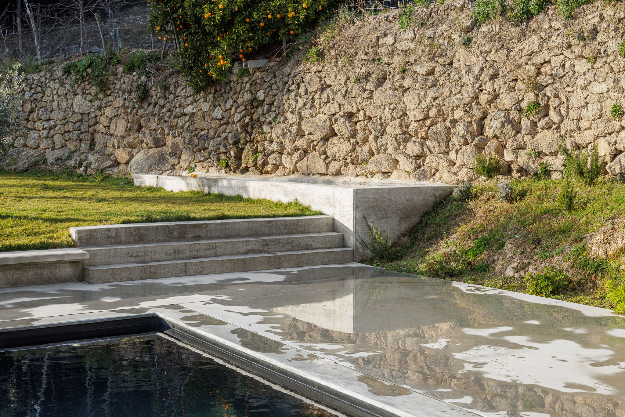 Casa NaMora: Detalhe da piscina com borda em cimento e escadas de acesso, integrada num jardim com vegetação. — Casa NaMora arquitetura David Bilo Arquitectos e Filipe Pina Arquitectura em Guarda