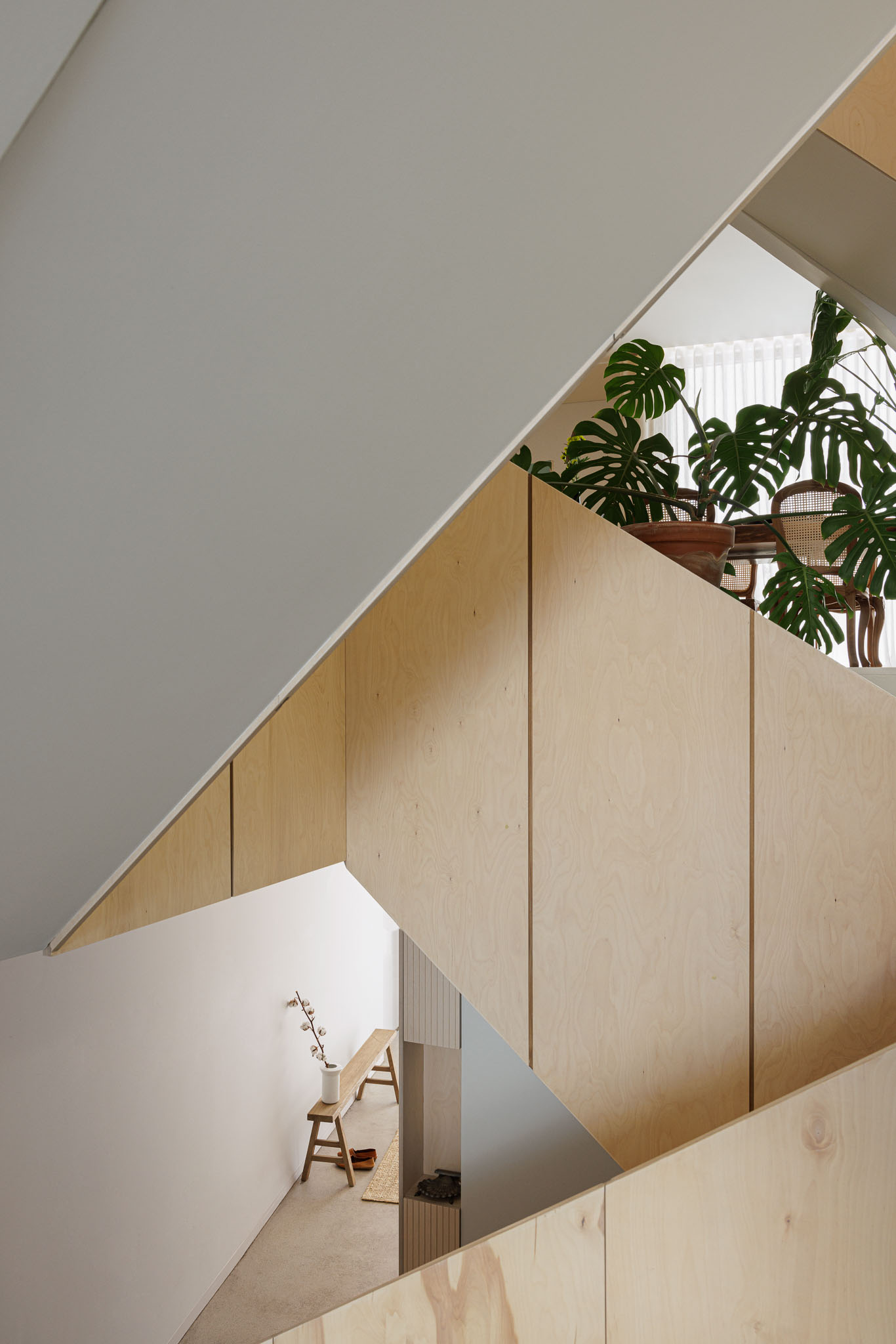 Escada: Corrimão em contraplacado claro, planta Monstera num patamar, pavimento em betão afagado. — Casa Vertical arquitetura Tsou Arquitectos em Porto