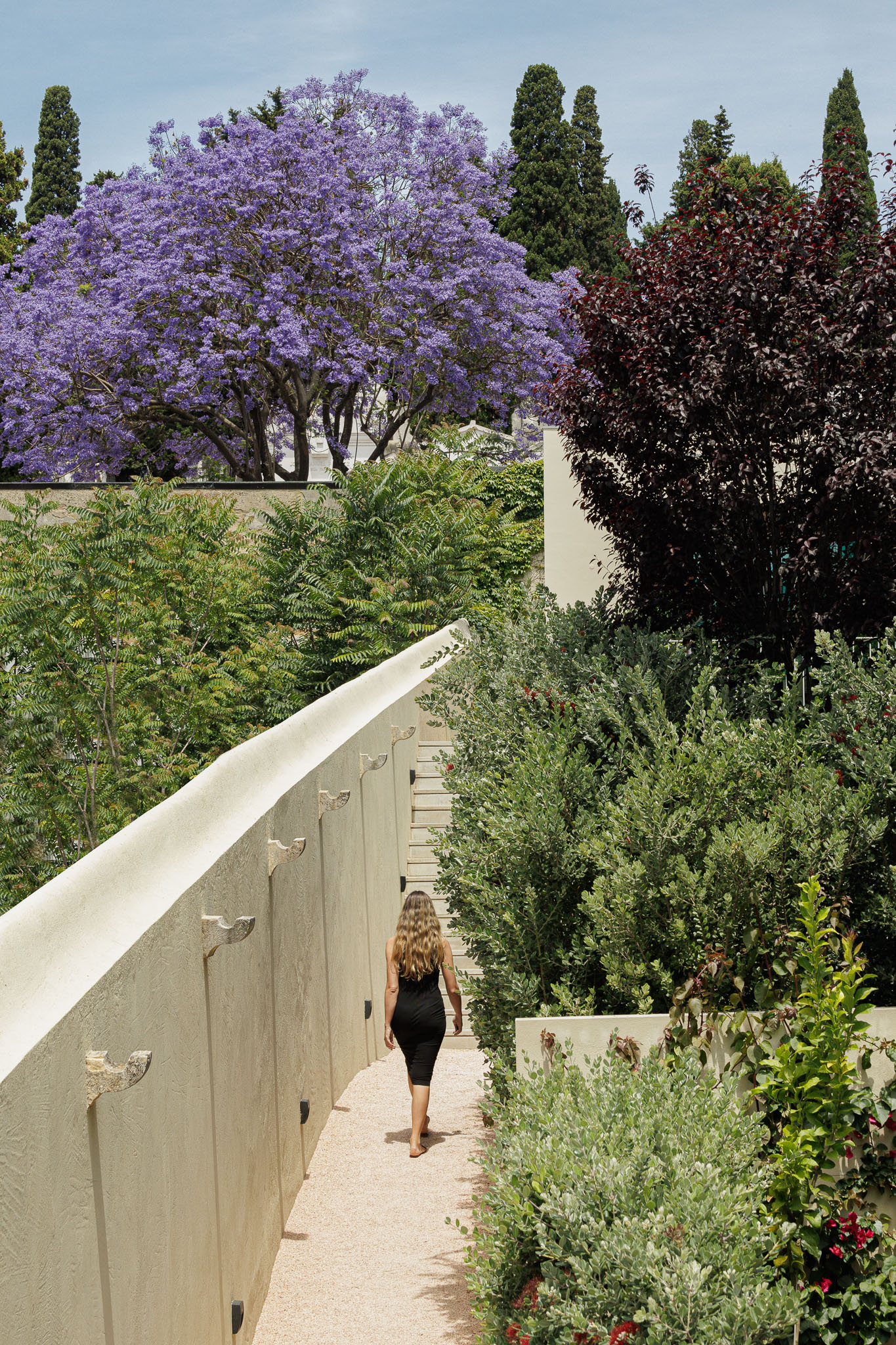 Jardim: Caminho de gravilha ladeado por muro caiado e vegetação exuberante, com uma mulher a caminhar. — Prazeres 37 arquitetura Fragmentos em Lisboa