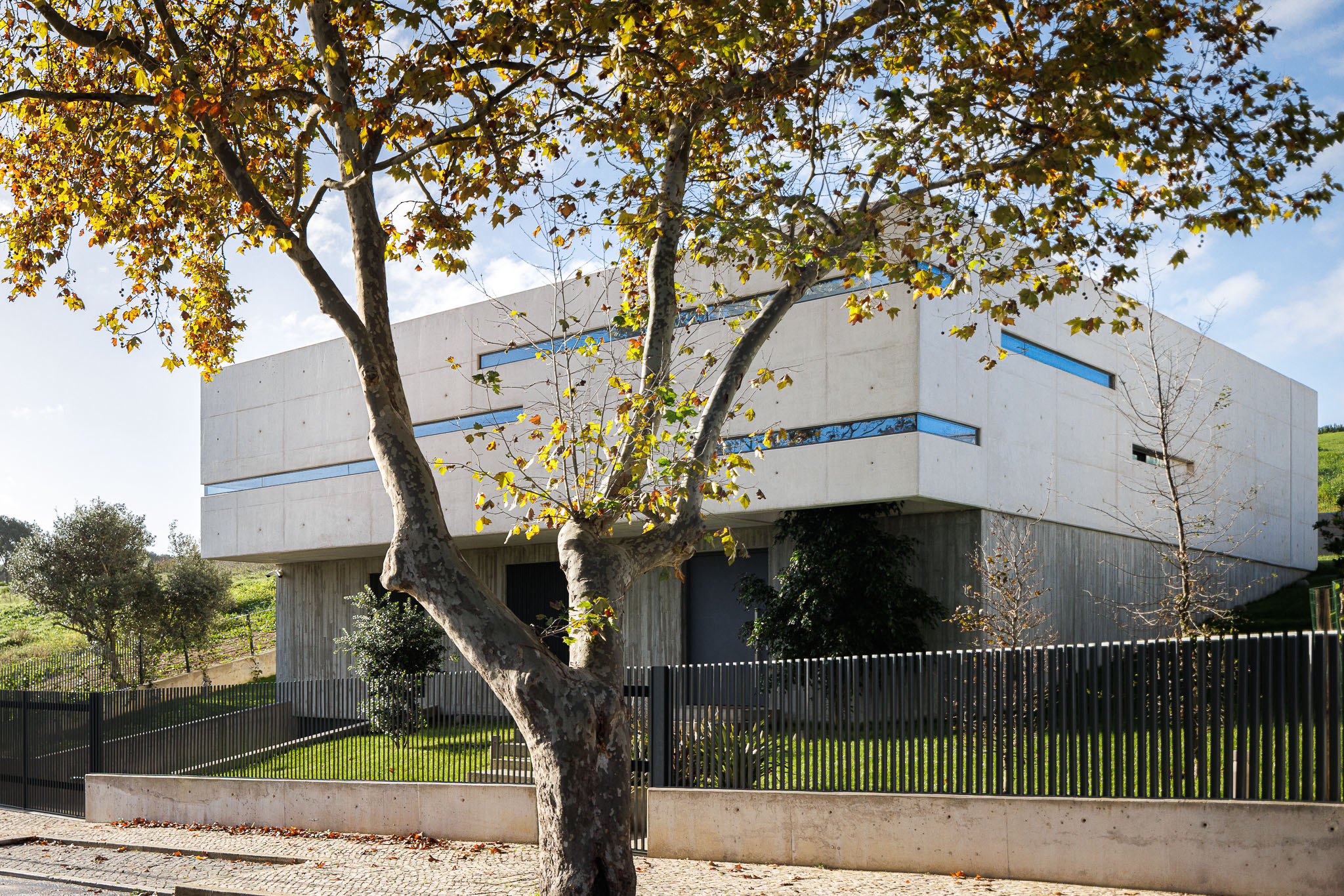 Exterior: Fachada em betão aparente de moradia moderna, com janelas horizontais, integrada na paisagem. — CONCRETE 11 arquitetura Cage Atelier em Lisboa