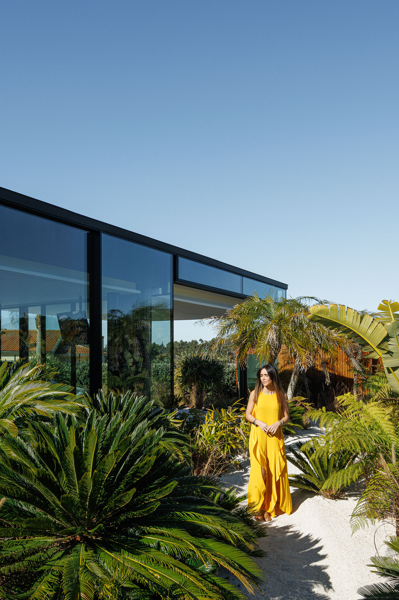 Exterior: Fachada envidraçada com vegetação tropical, mostrando a integração da casa na paisagem. — Casa de Lavra arquitetura Ricardo Azevedo Arquitecto em Matosinhos