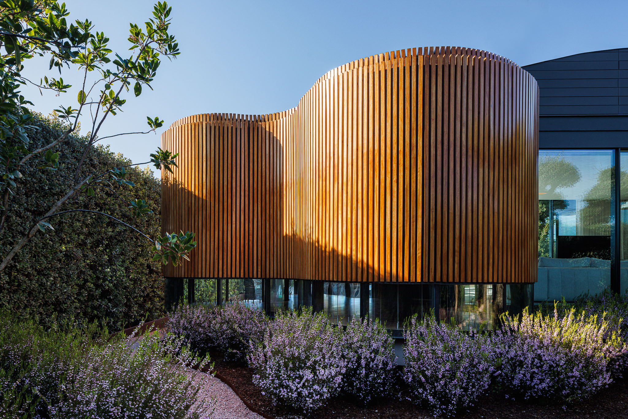Exterior: Fachada revestida a ripas de madeira com janelas panorâmicas e vegetação rasteira. — Casa de Lavra arquitetura Ricardo Azevedo Arquitecto em Matosinhos
