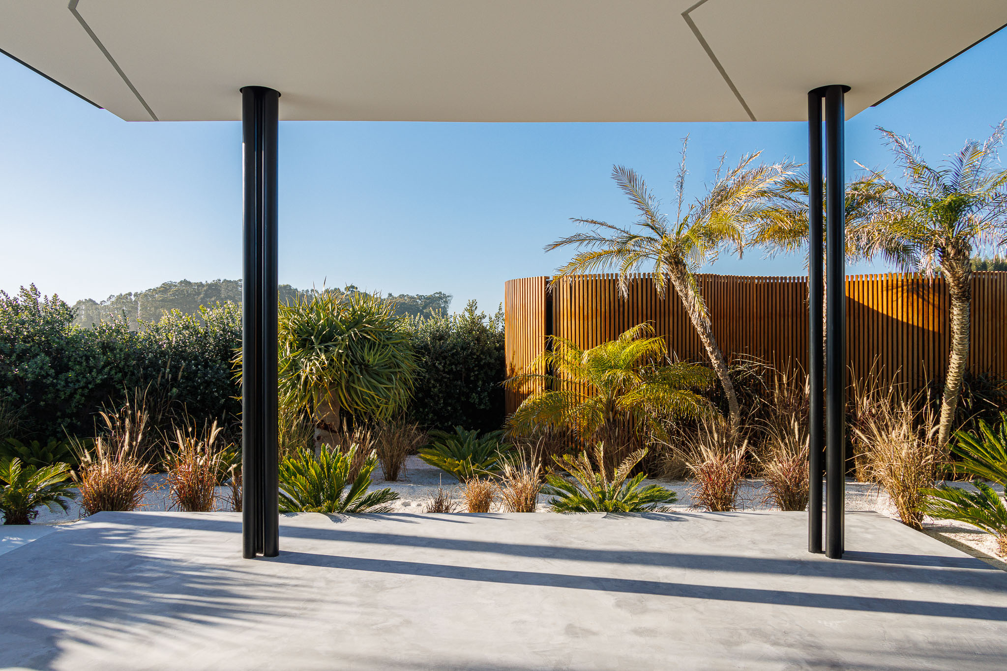 Terraço: Pavimento em pedra, vegetação tropical e vista para o exterior. — Casa de Lavra arquitetura Ricardo Azevedo Arquitecto em Matosinhos
