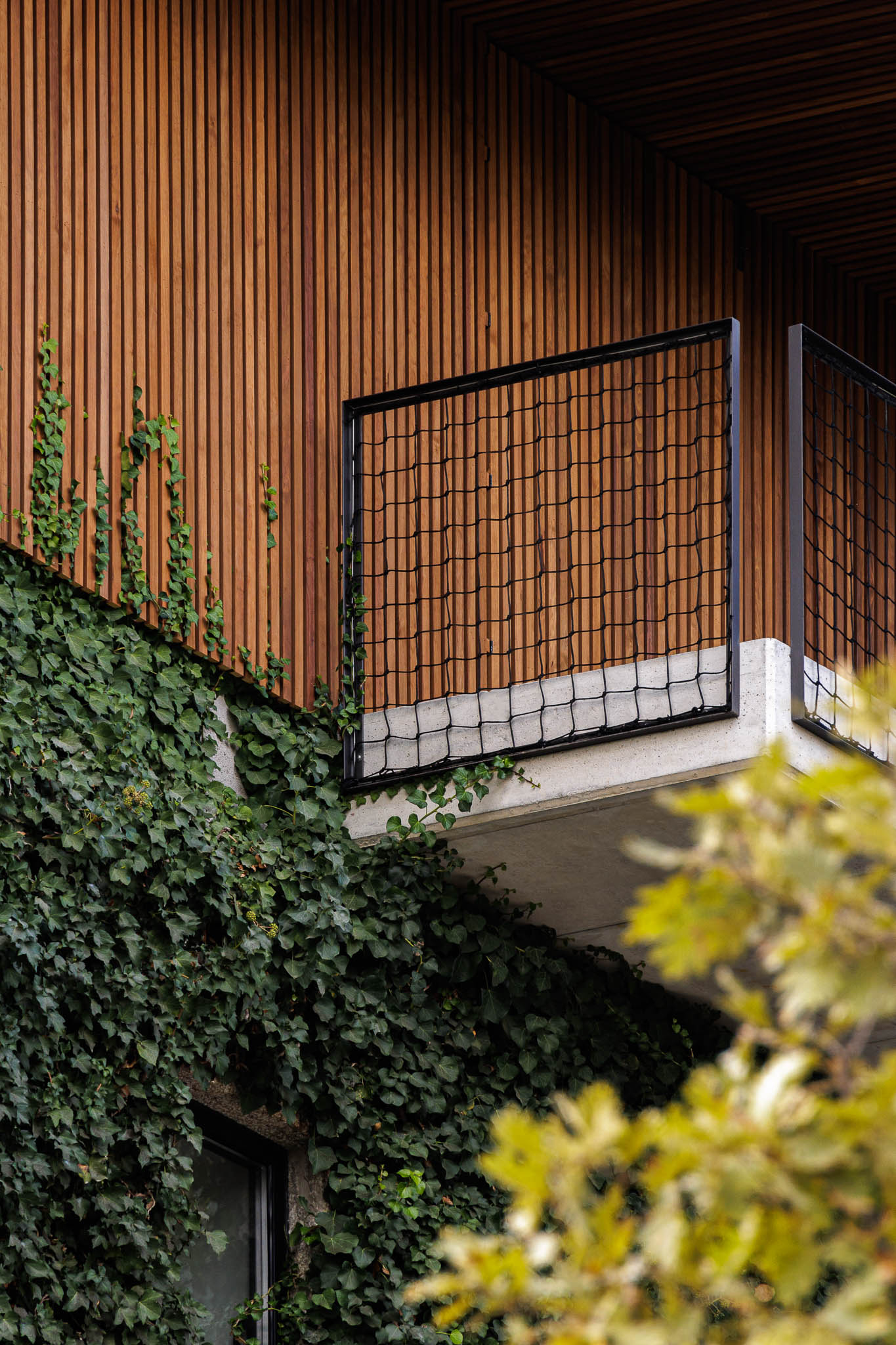 Exterior: Detalhe da fachada revestida a pedra e trepadeira, com varanda e guarda em rede metálica preta. — The Vagar – Country House arquitetura David Bilo Arquitectos e Filipe Pina Arquitectura em Belmonte