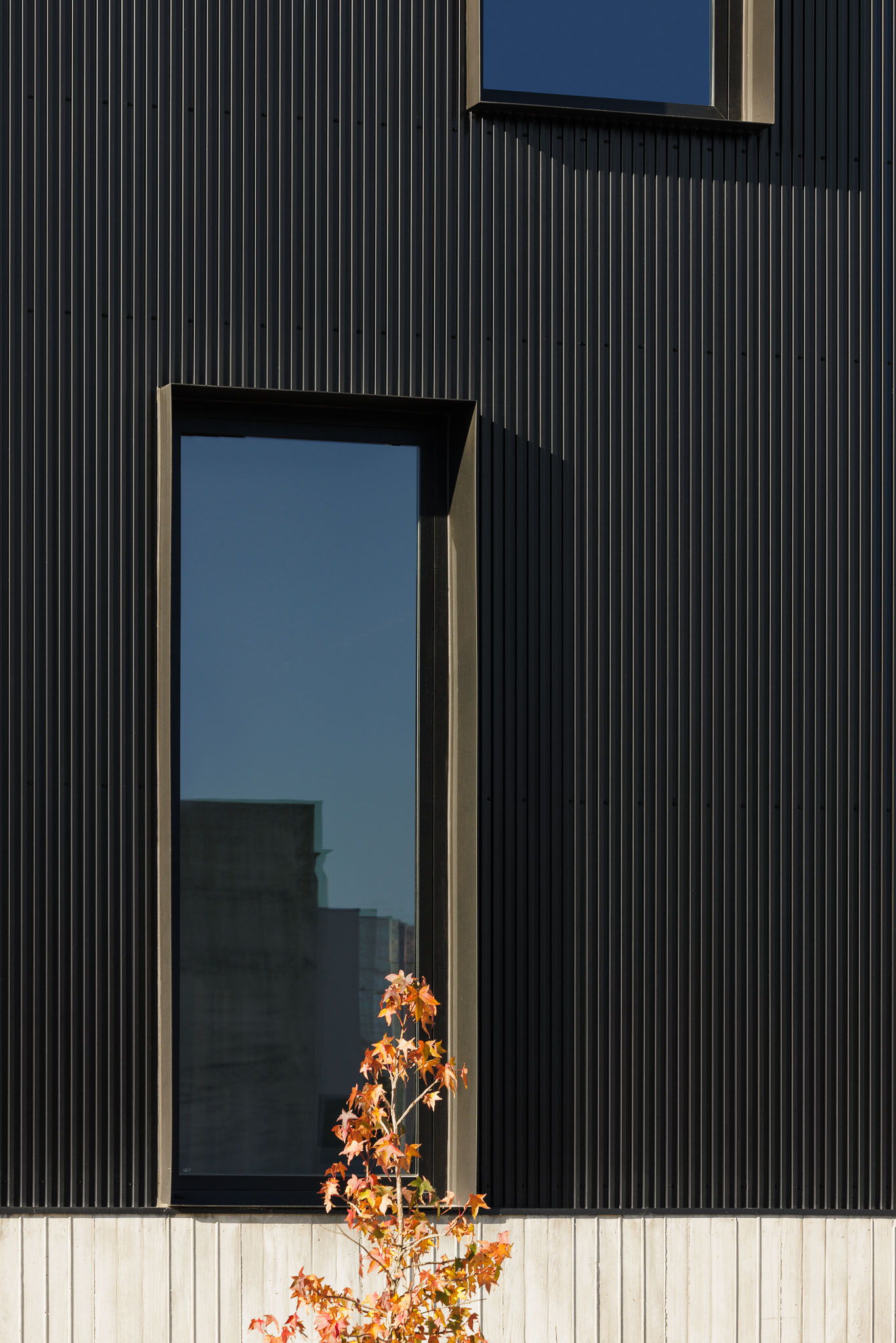 Fachada: Janela vertical em fachada metálica preta, com base em betão e pequena árvore. — Clínica de fisioterapia - Fisiminho arquitetura L2C Arquitetura em Braga