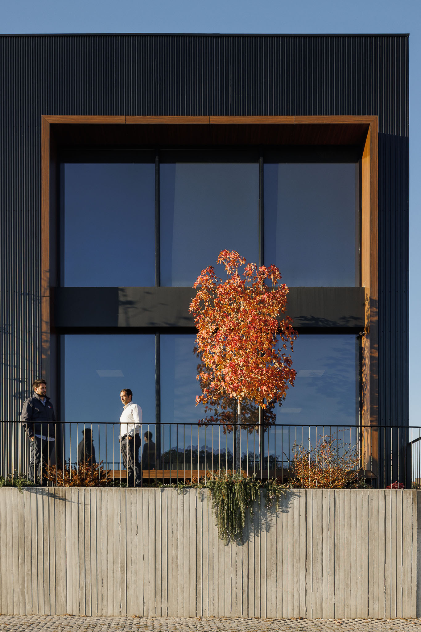 Fachada: Detalhe de janela ampla com moldura em madeira e paisagismo em primeiro plano. — Clínica de fisioterapia - Fisiminho arquitetura L2C Arquitetura em Braga