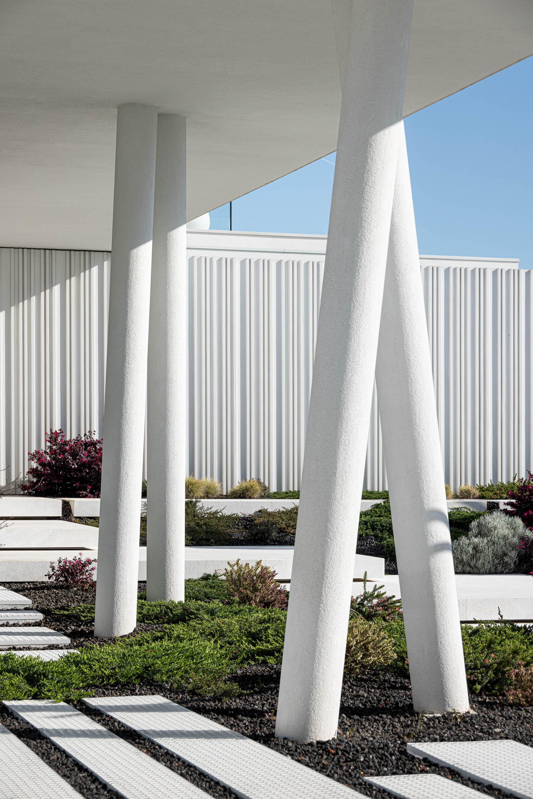 Jardim: Pilares brancos texturados sustentam a estrutura da moradia, com vegetação rasteira e passagens em pedra. — Riscowhite arquitetura Risco Singular em Barcelos