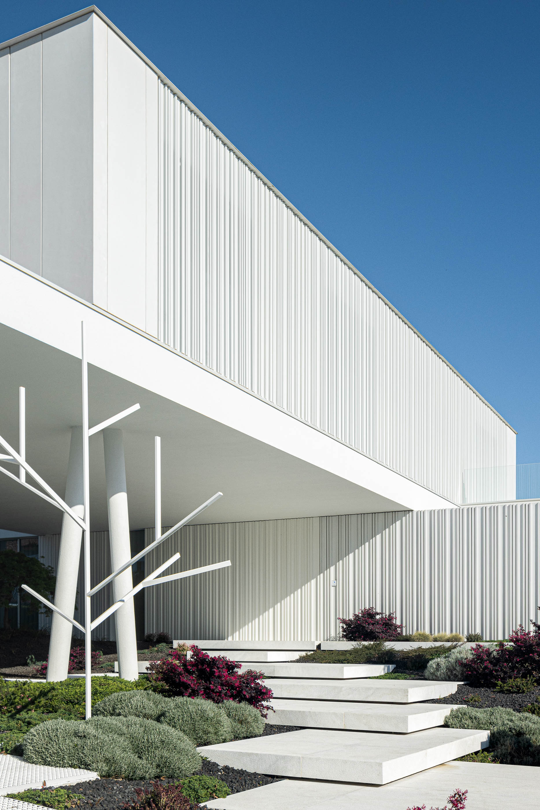 Jardim: Fachada branca da moradia, com pilares e escadaria em pedra, rodeada por vegetação cuidada. — Riscowhite arquitetura Risco Singular em Barcelos