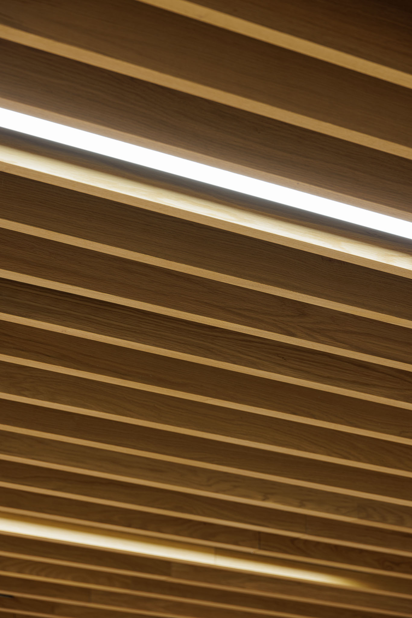 Interior: Detalhe do teto em madeira ripada com iluminação linear embutida. — Farmácia NR arquitetura Esquissos Arquitectura em Sintra
