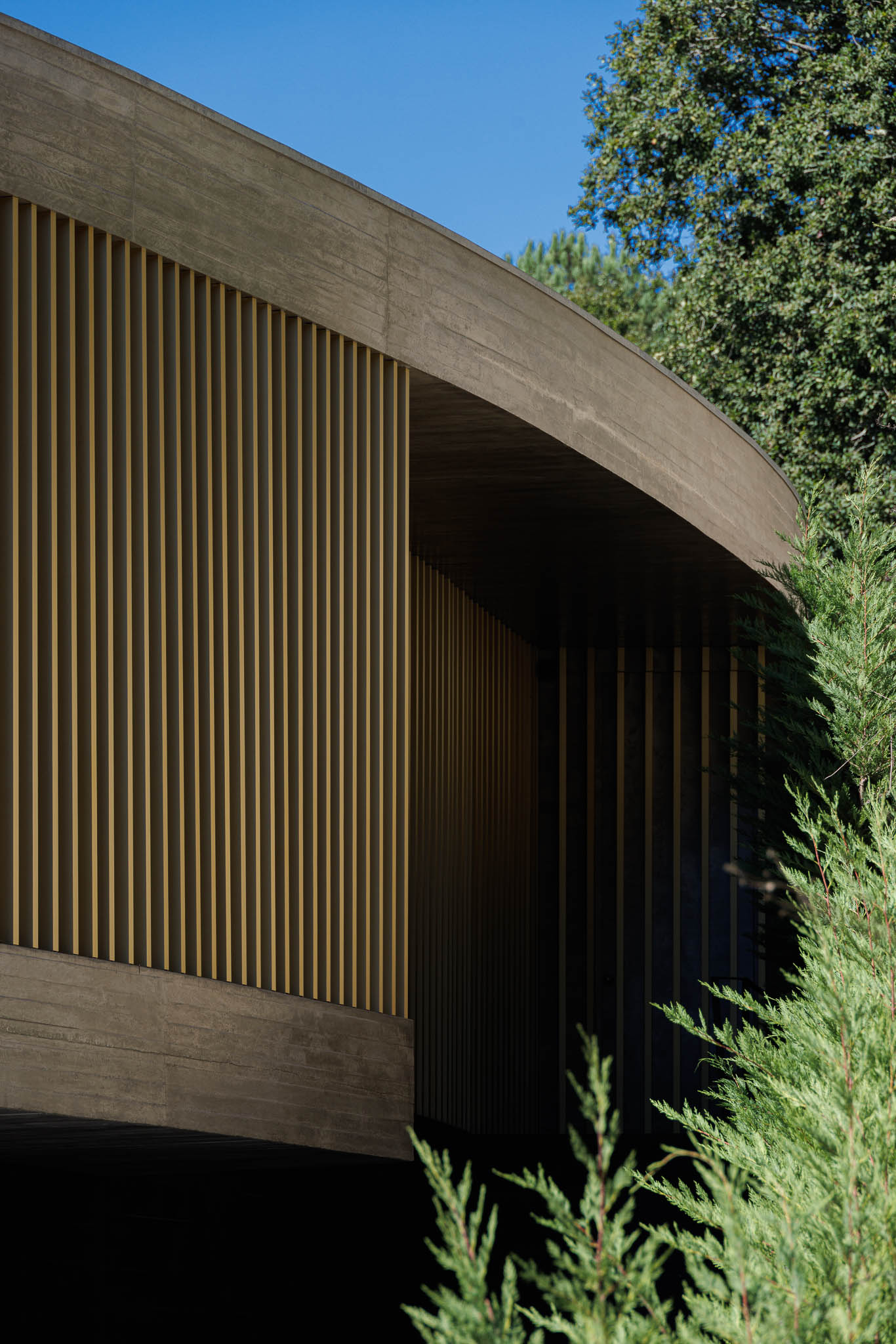 Entrada: Detalhe da fachada curva com ripas verticais douradas e revestimento em betão aparente, integrado na vegetação. — Casa de Bouro arquitetura Mutant Architecture and Design em Terras de Bouro