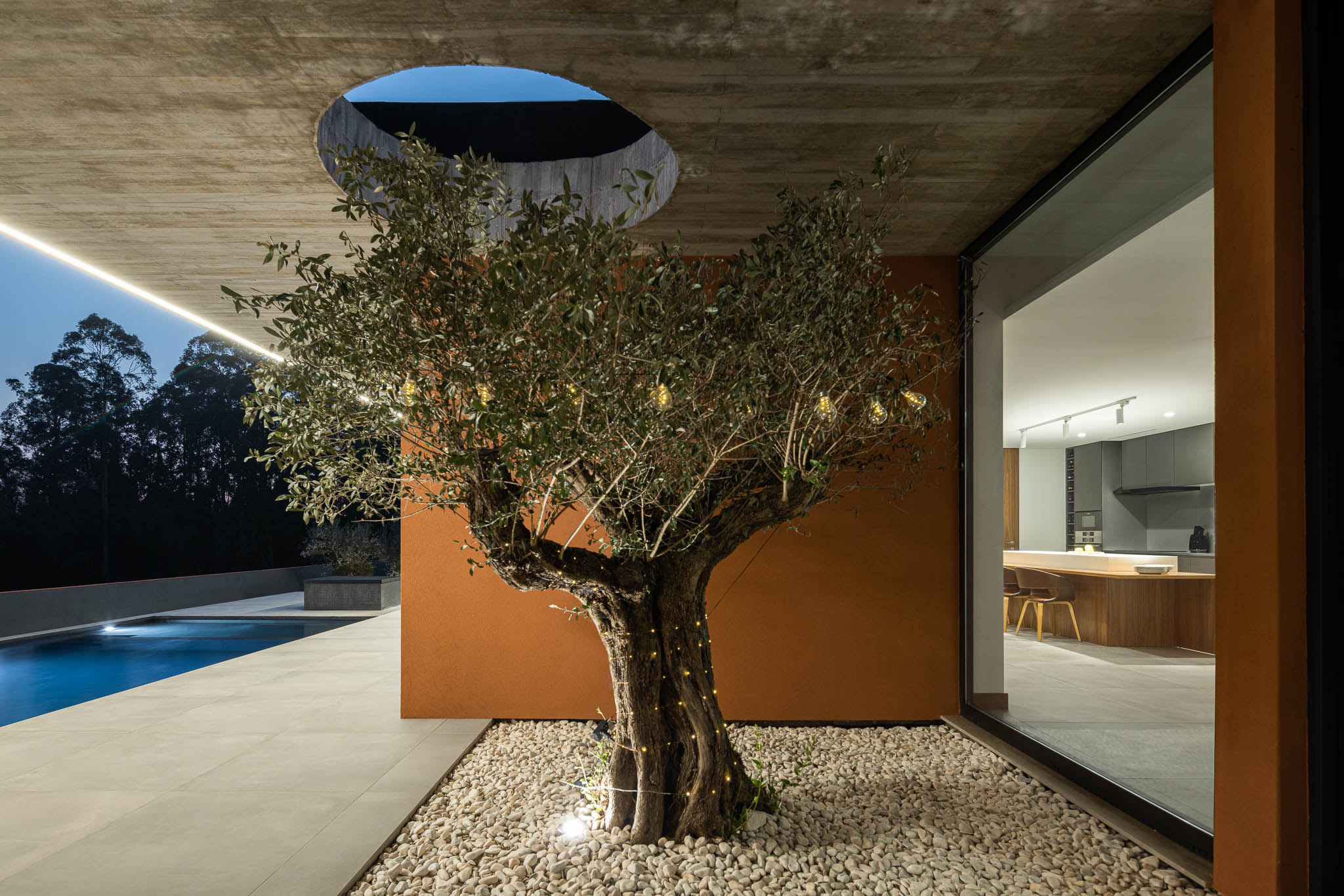 Exterior: Pátio interior com oliveira, laje de betão aparente com orifício circular. — TM House arquitetura Inception Architects Studio em Santo Tirso