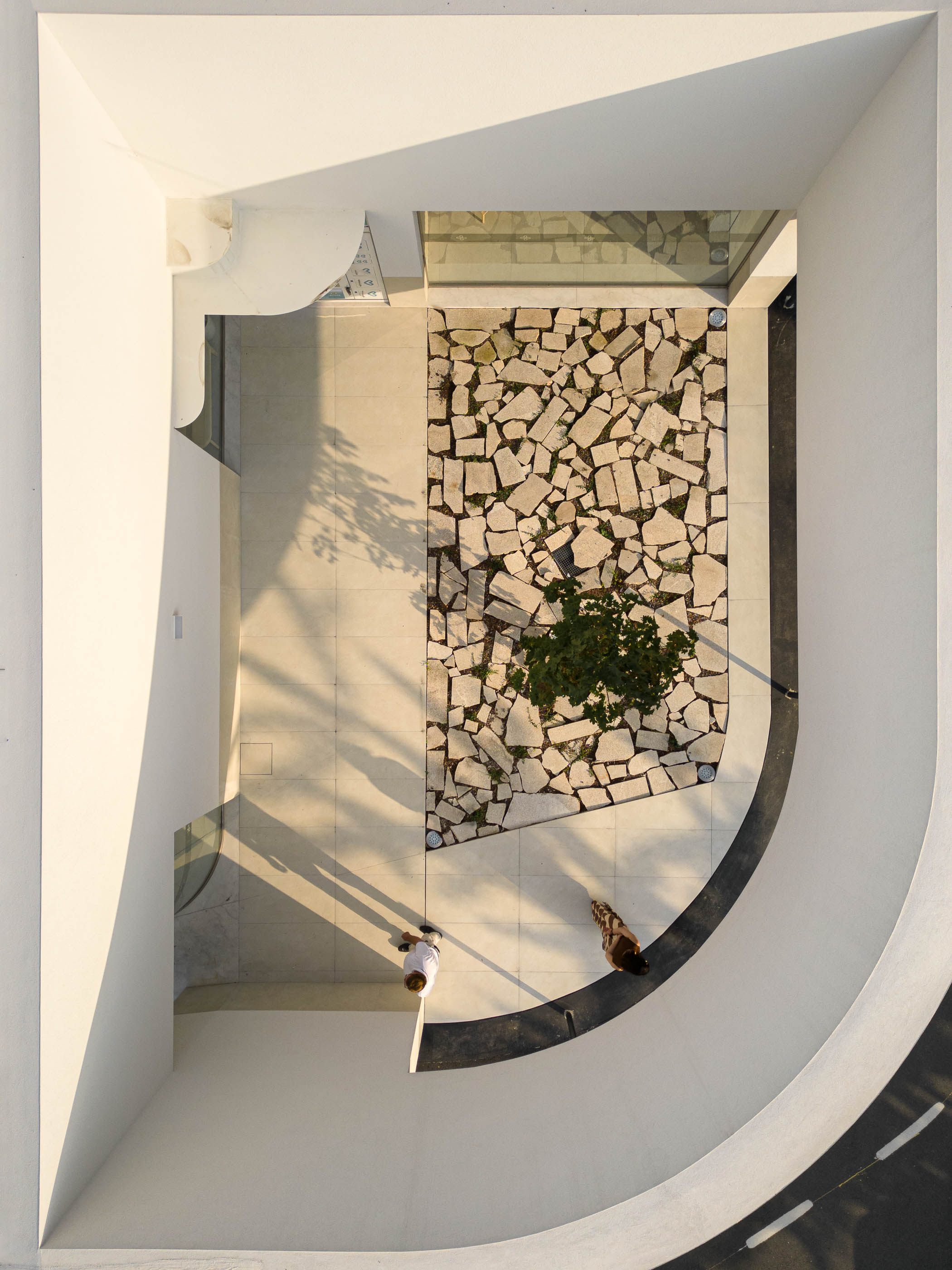 Jardim interior: Vista de cima do jardim com pavimento de pedra irregular e uma árvore. — Farmácia da Devesa arquitetura Tsou Arquitectos em Vila Nova de Famalicão
