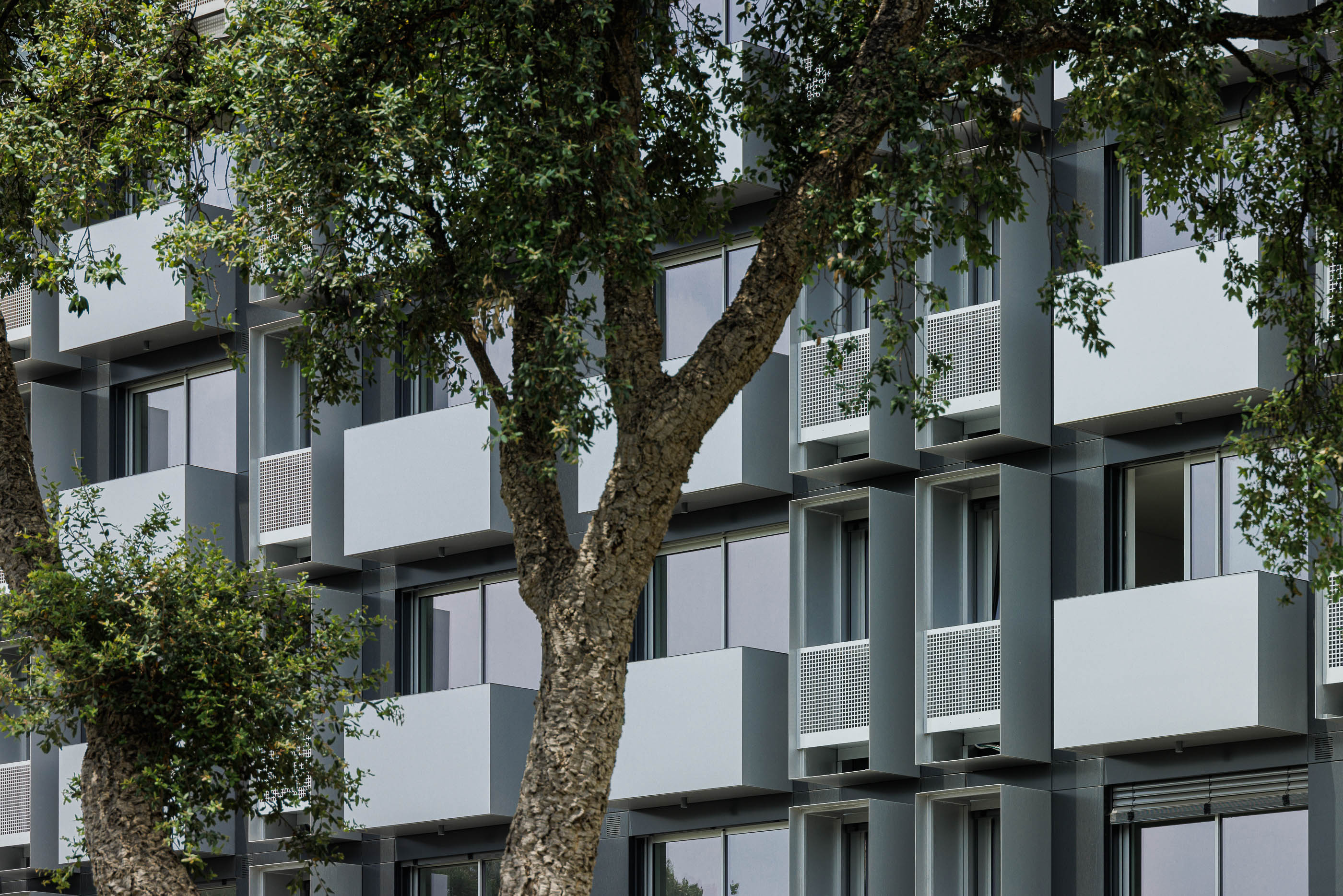 Exterior: Detalhe da fachada com varandas em cubo e vegetação. — Evolution Apartments Housing arquitetura António Paulo Marques, Arquiteto e Associados em Matosinhos