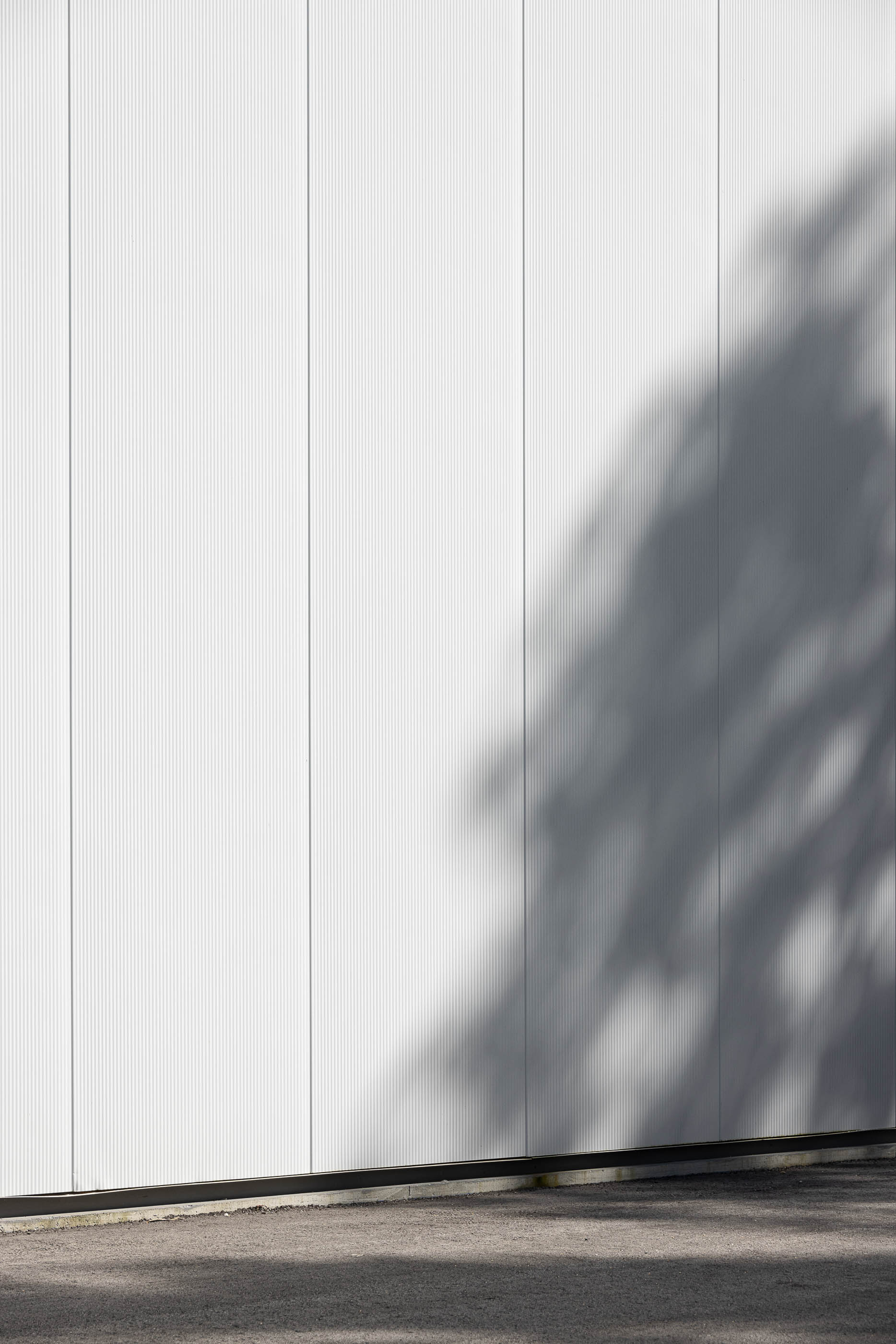 Detalhe da fachada branca com painéis verticais e sombra de árvore. — Edifício Sede da PRF arquitetura Impare Arquitectura em Leiria