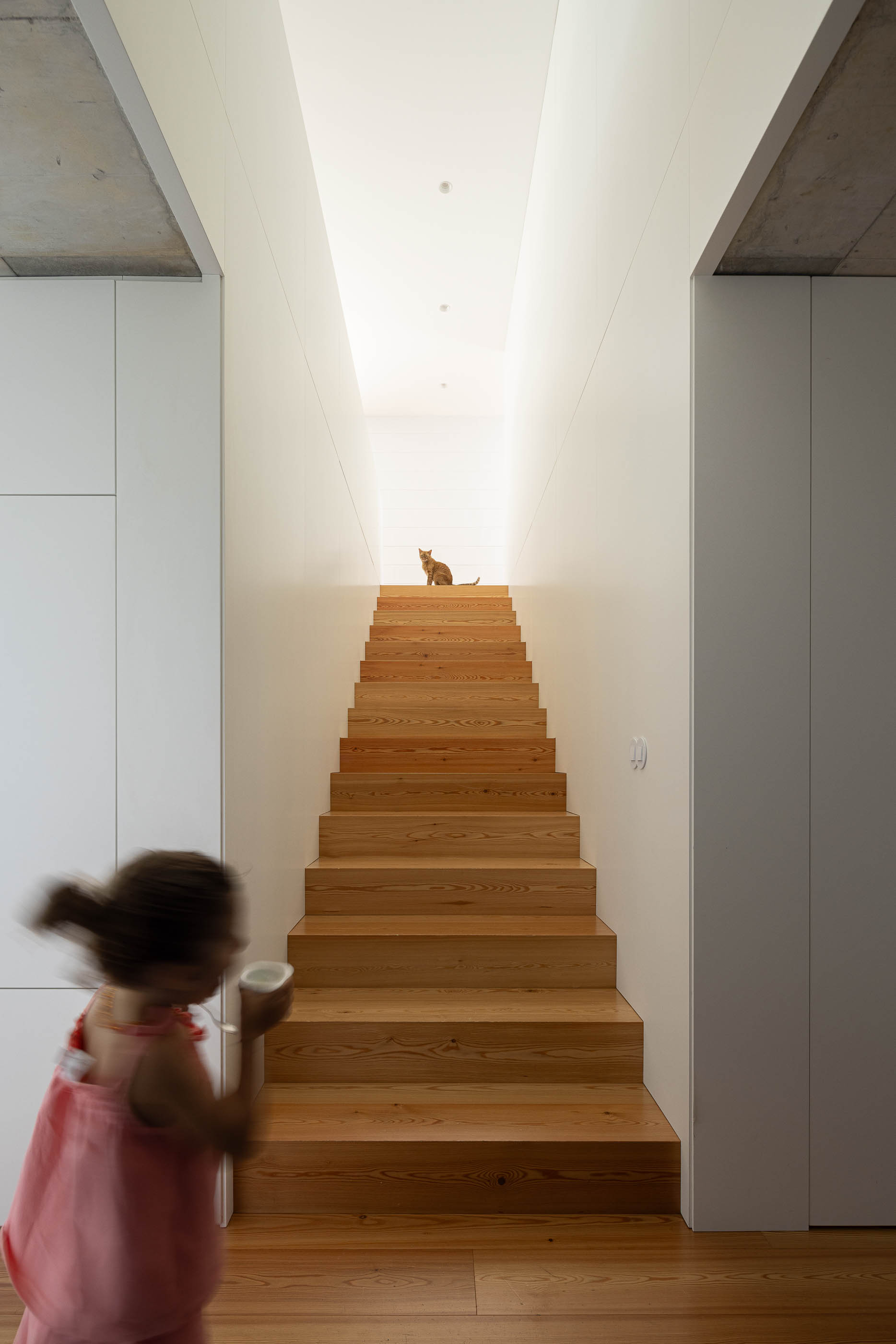 Escadas: Escadas de madeira clara com paredes brancas e um gato no topo, com luz natural zenital. — Casa do Sobreiro arquitetura Skemba - Arquitectura e Engenharia em Amarante