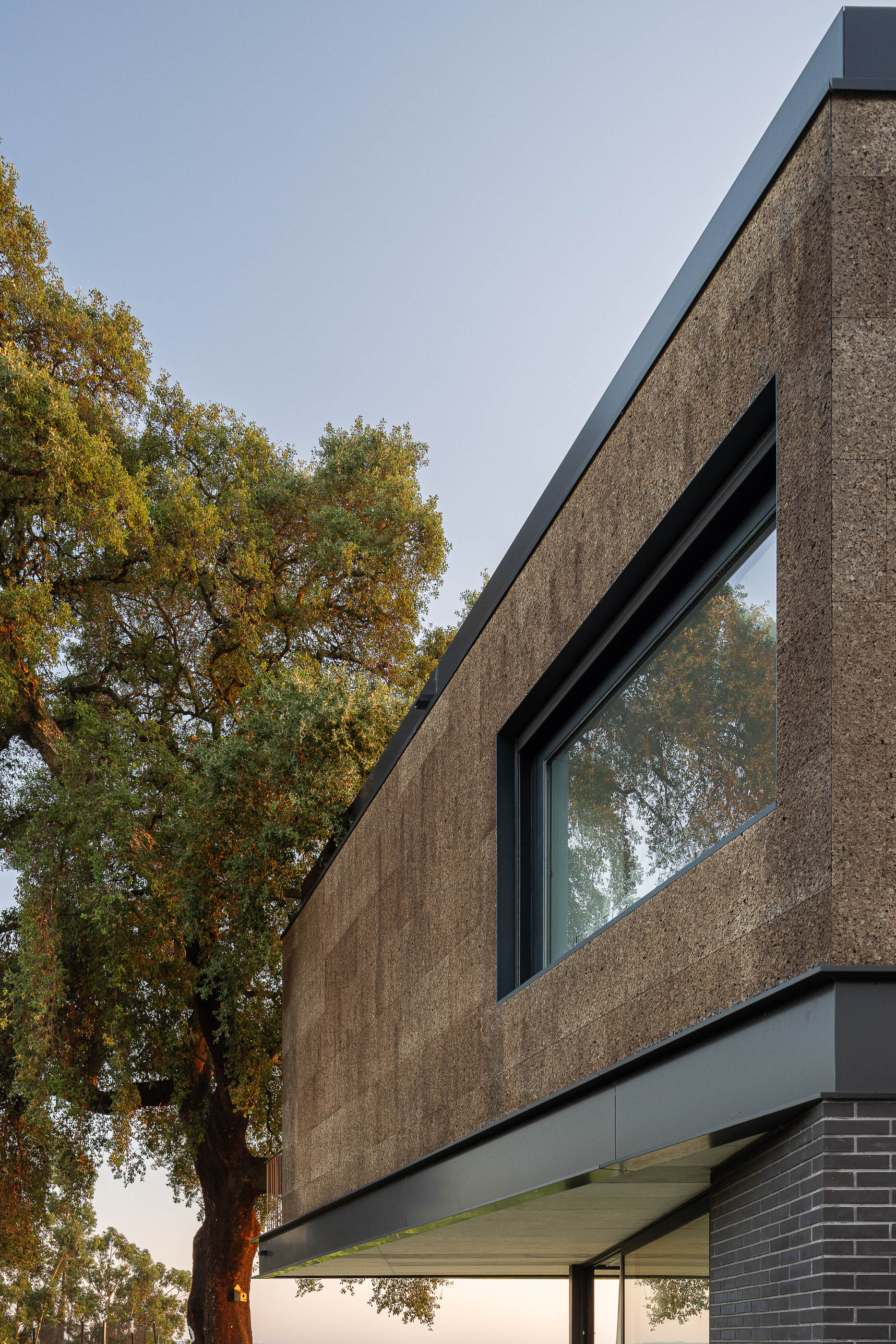 Exterior: Vista da fachada com revestimento de cortiça e tijolo preto, com sobreiro e vinhas ao fundo. — Casa do Sobreiro arquitetura Skemba - Arquitectura e Engenharia em Amarante