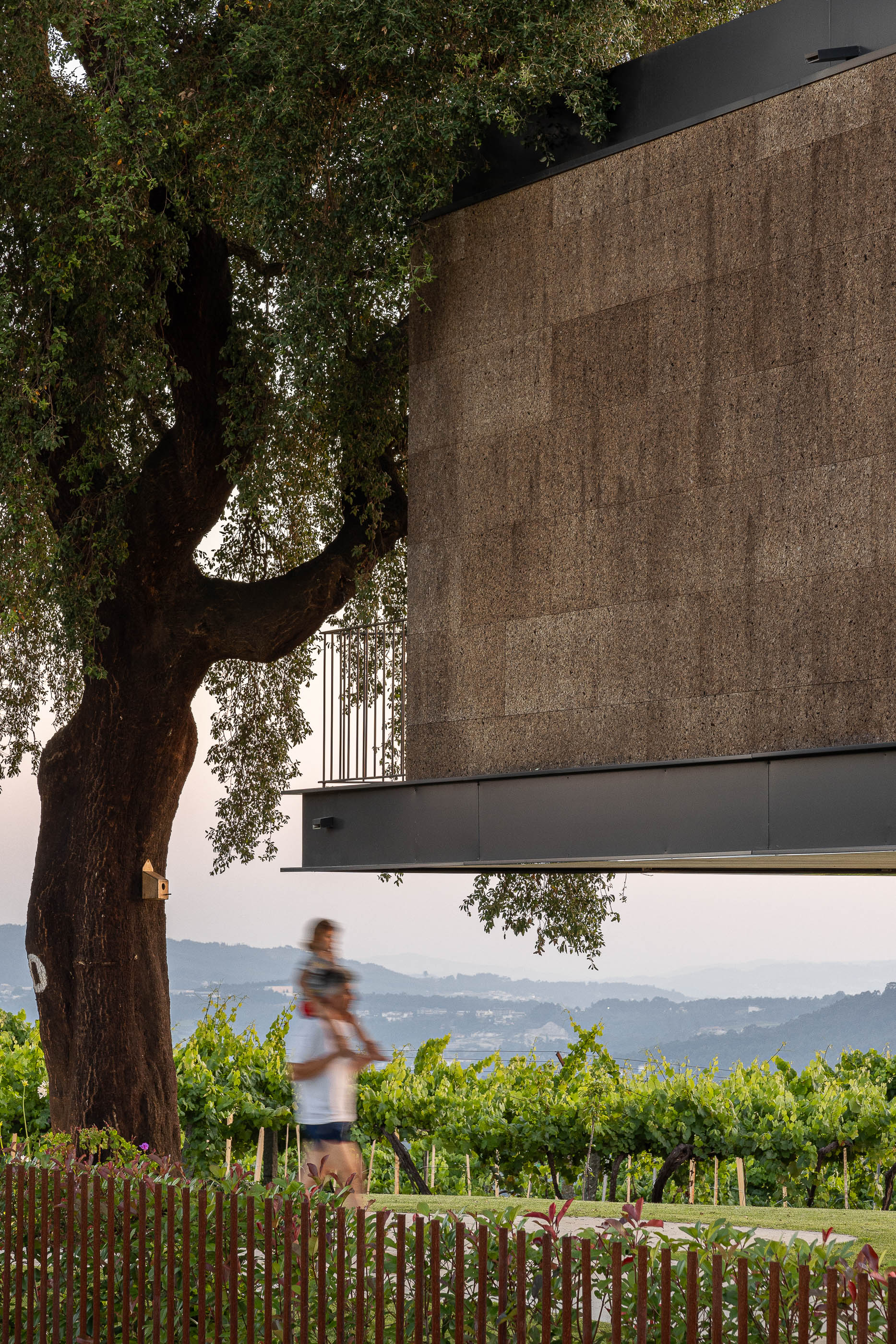 Exterior: Vista da casa iluminada ao entardecer, com revestimento de cortiça e tijolo preto, com sobreiro e jardim. — Casa do Sobreiro arquitetura Skemba - Arquitectura e Engenharia em Amarante