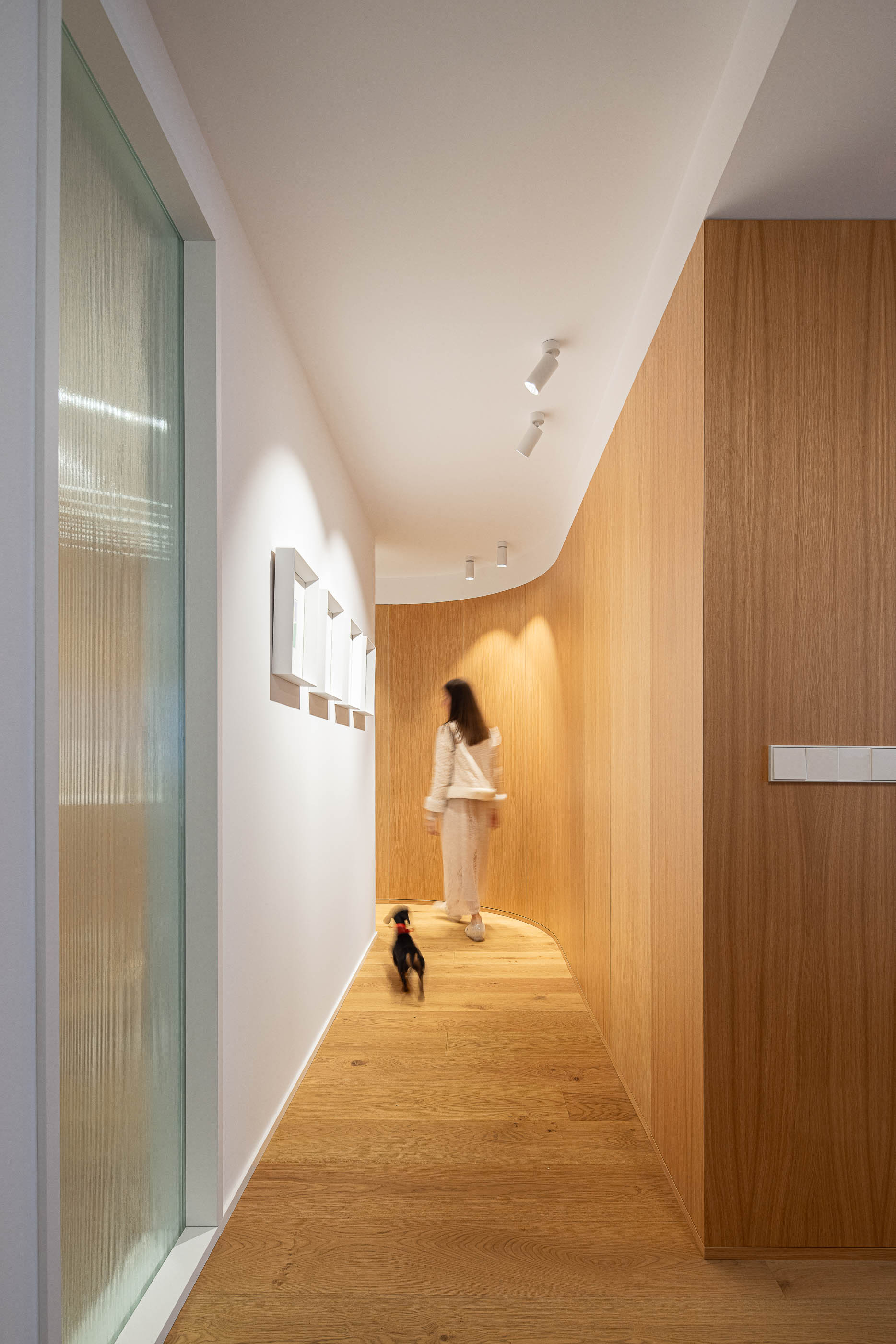 Corredor curvo com pavimento em madeira clara e paredes revestidas a madeira e pintadas de branco. Candeeiros embutidos no teto. — Reforma Apartamento CV em Avilés arquitetura David Olmos Arquitectos em Avilés