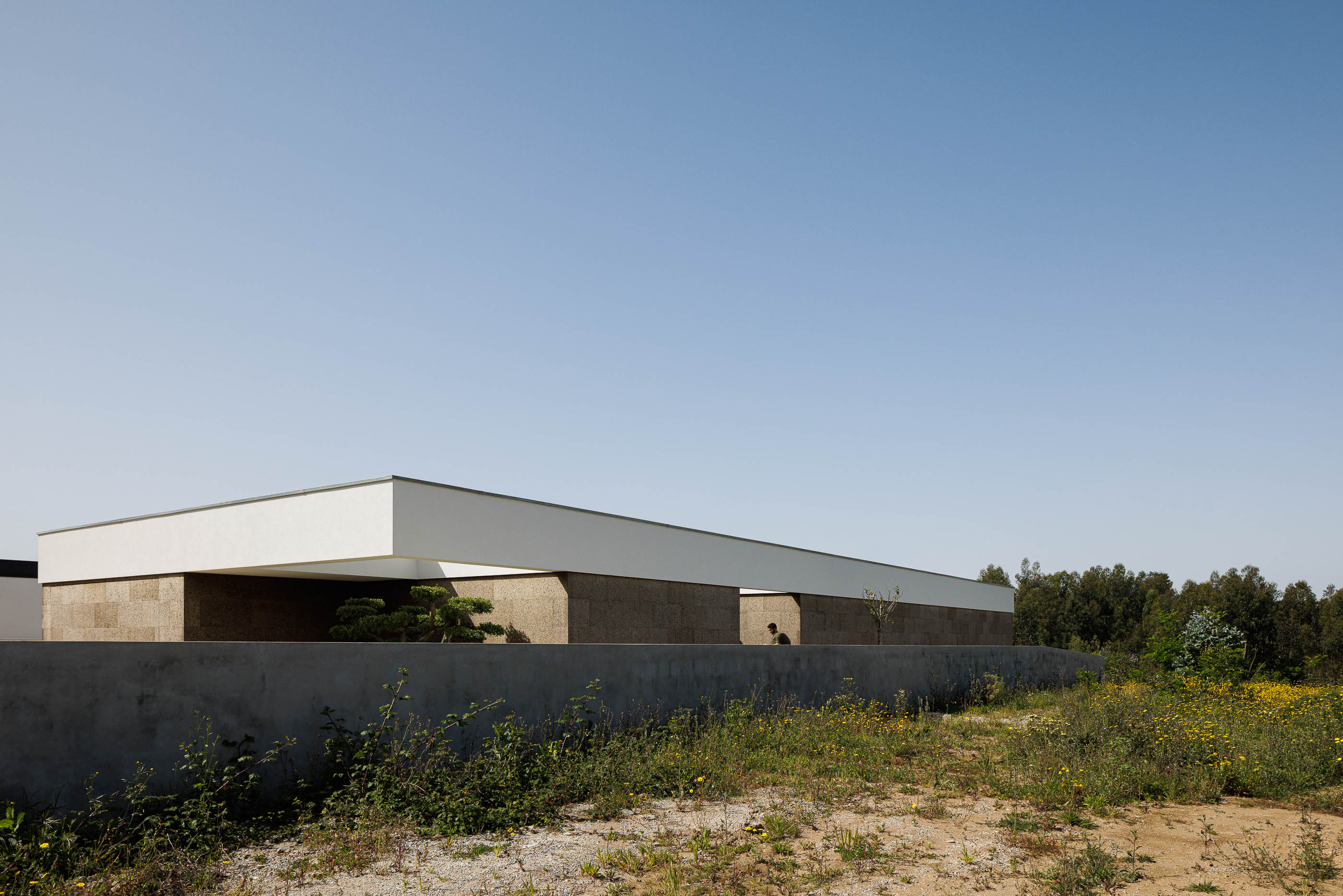 Fachada: Moradia térrea com revestimento em cortiça, volume branco superior e jardim natural. — Casa AS arquitetura Mário Alves Arquitecto em Santa Maria da Feira