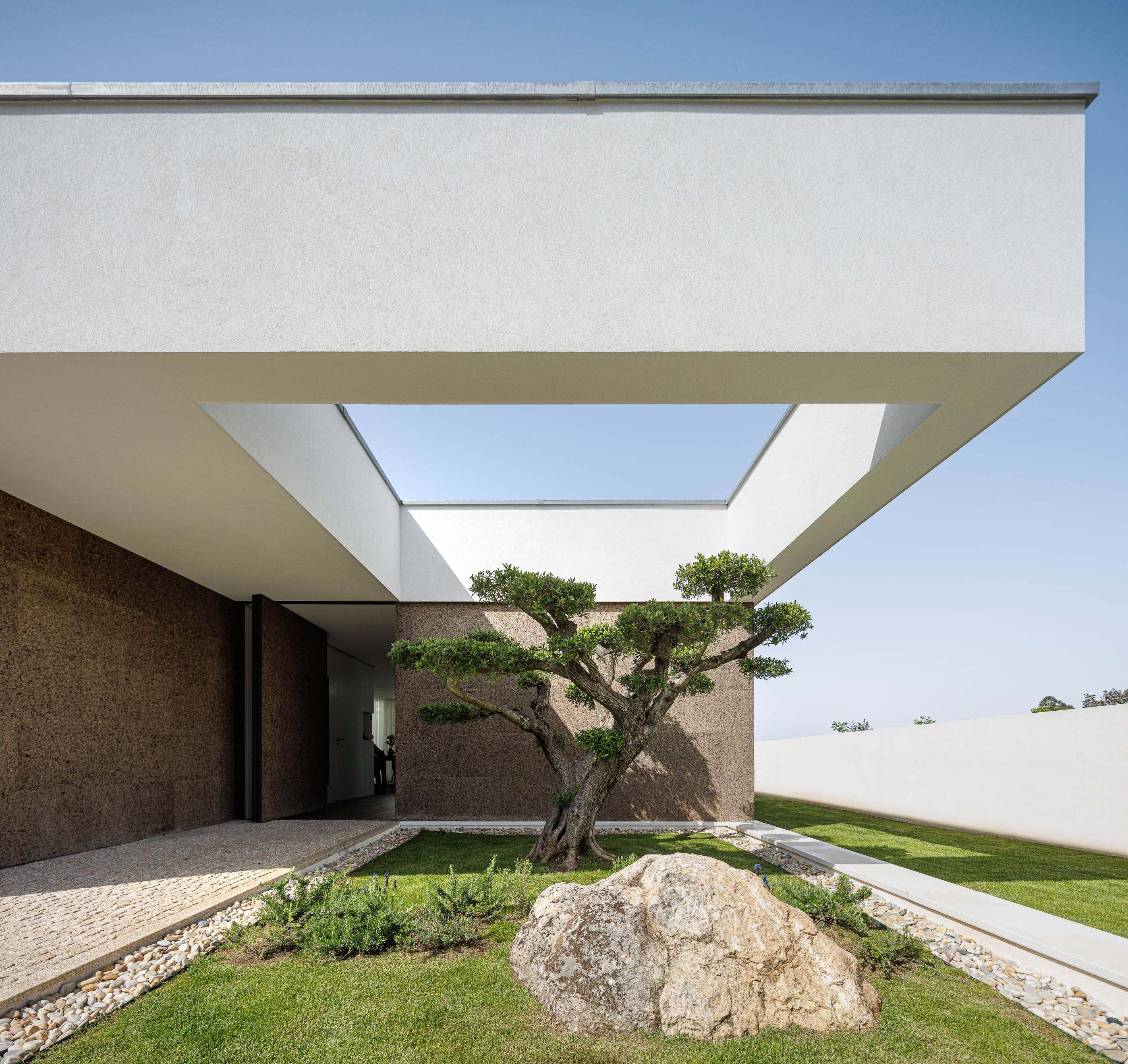 Pátio: Árvore central num pátio interior com pavimento de calhau branco, enquadrado por paredes em cortiça e céu aberto. — Casa AS arquitetura Mário Alves Arquitecto em Santa Maria da Feira