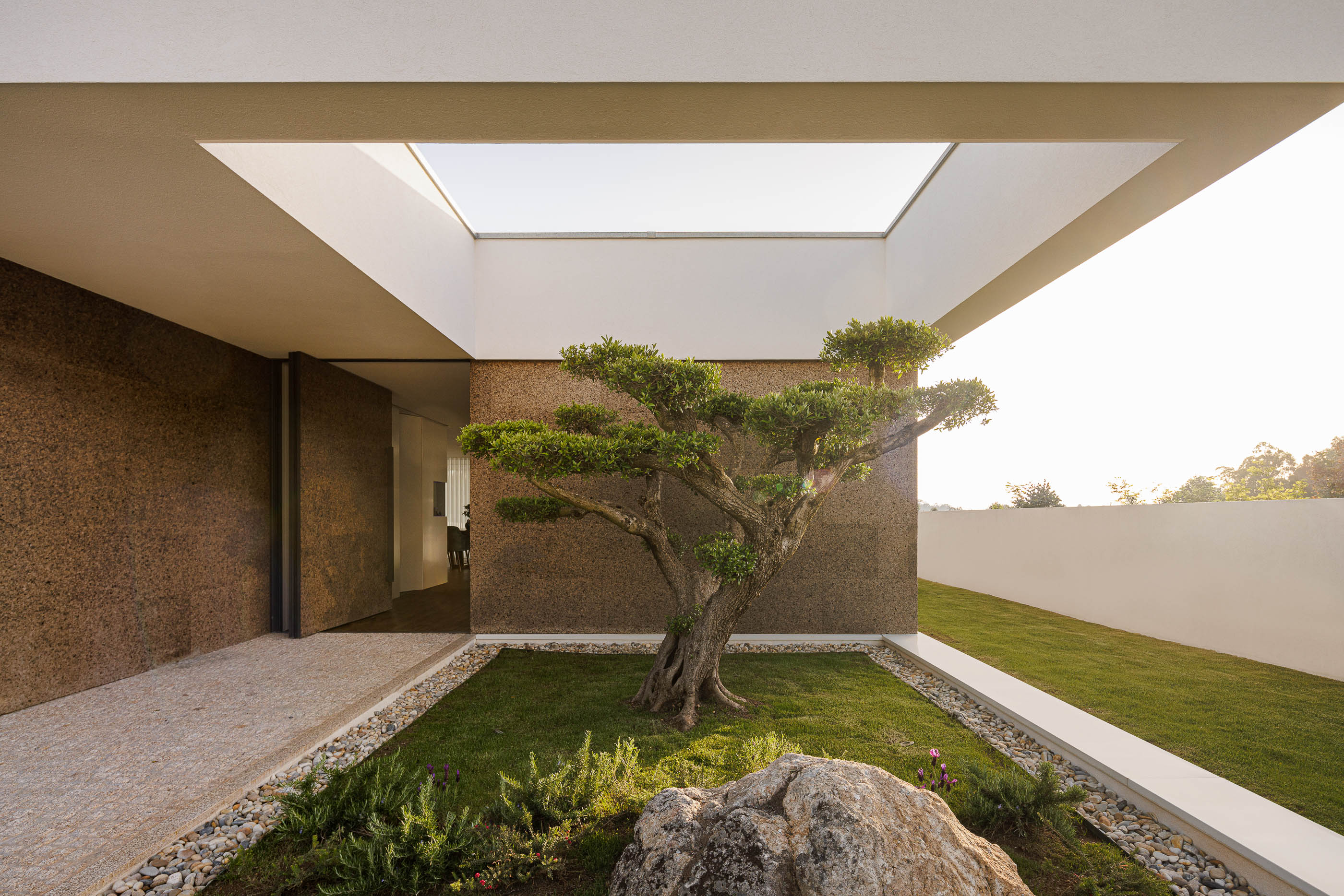 Pátio: Perspectiva do pátio interior com oliveira, paredes em cortiça e acesso ao interior da casa. — Casa AS arquitetura Mário Alves Arquitecto em Santa Maria da Feira