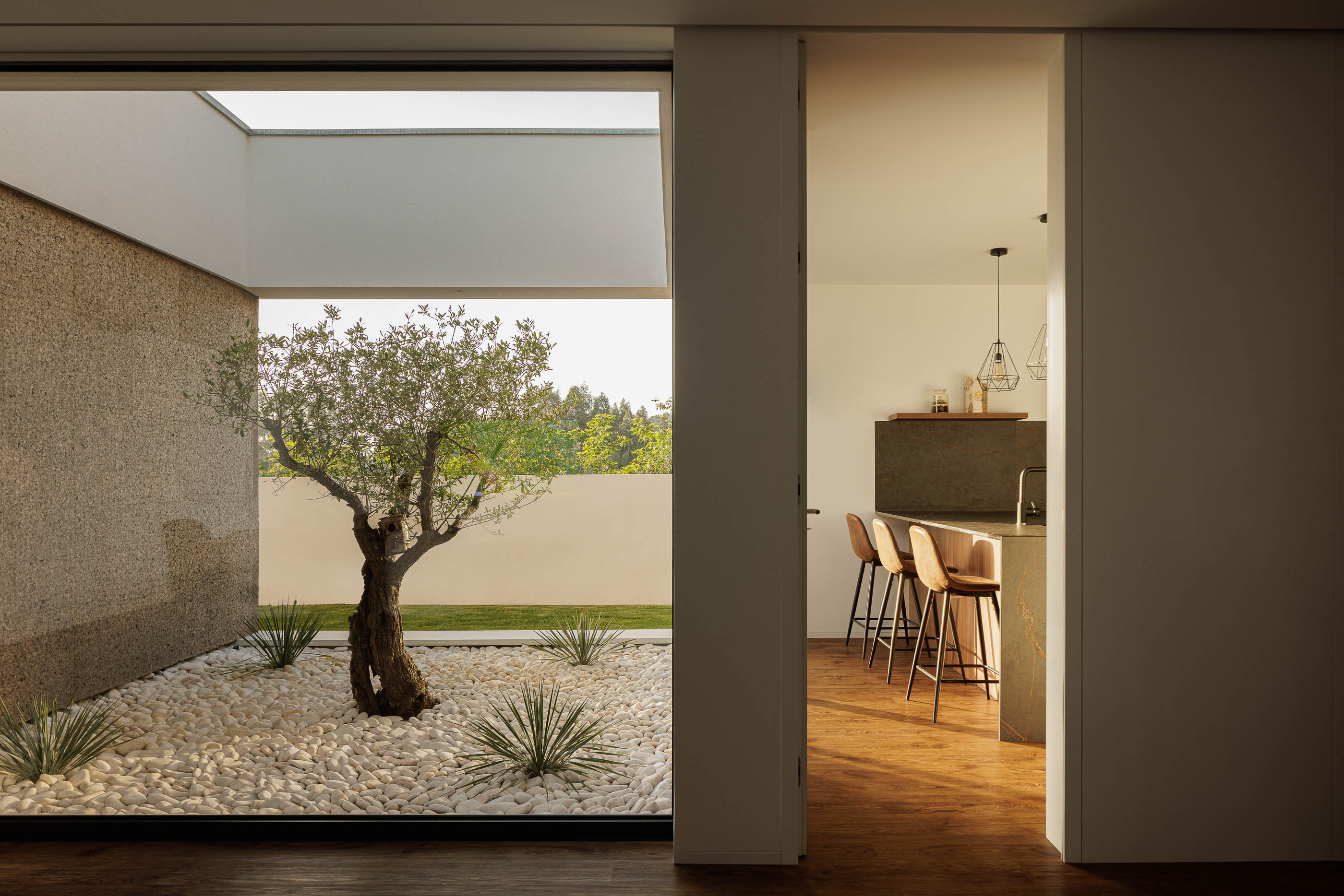 Pátio: Vista do pátio interior a partir da sala, com oliveira, calhau branco e cozinha ao fundo. — Casa AS arquitetura Mário Alves Arquitecto em Santa Maria da Feira