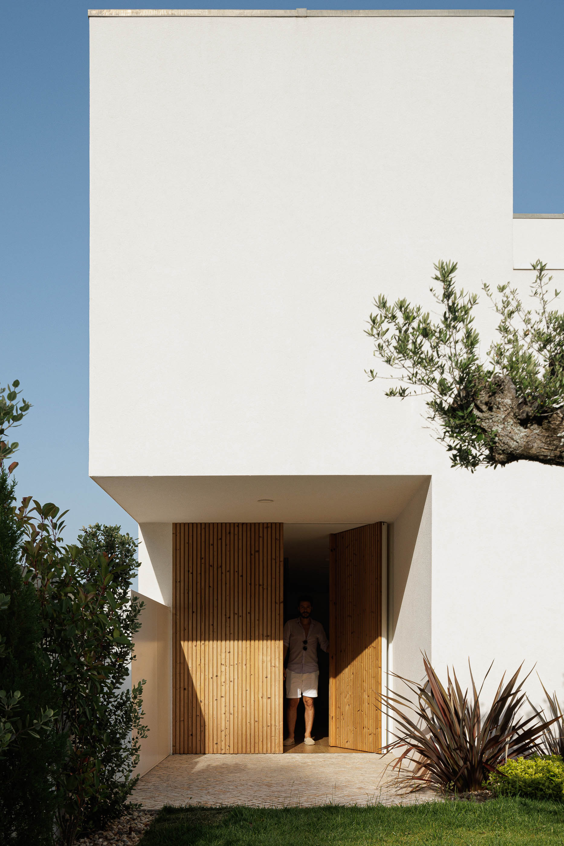 Entrada da casa com porta em madeira ripada. Jardim com vegetação e pavimento em calçada. — Casa JC arquitetura Mário Alves Arquitecto em Coimbra