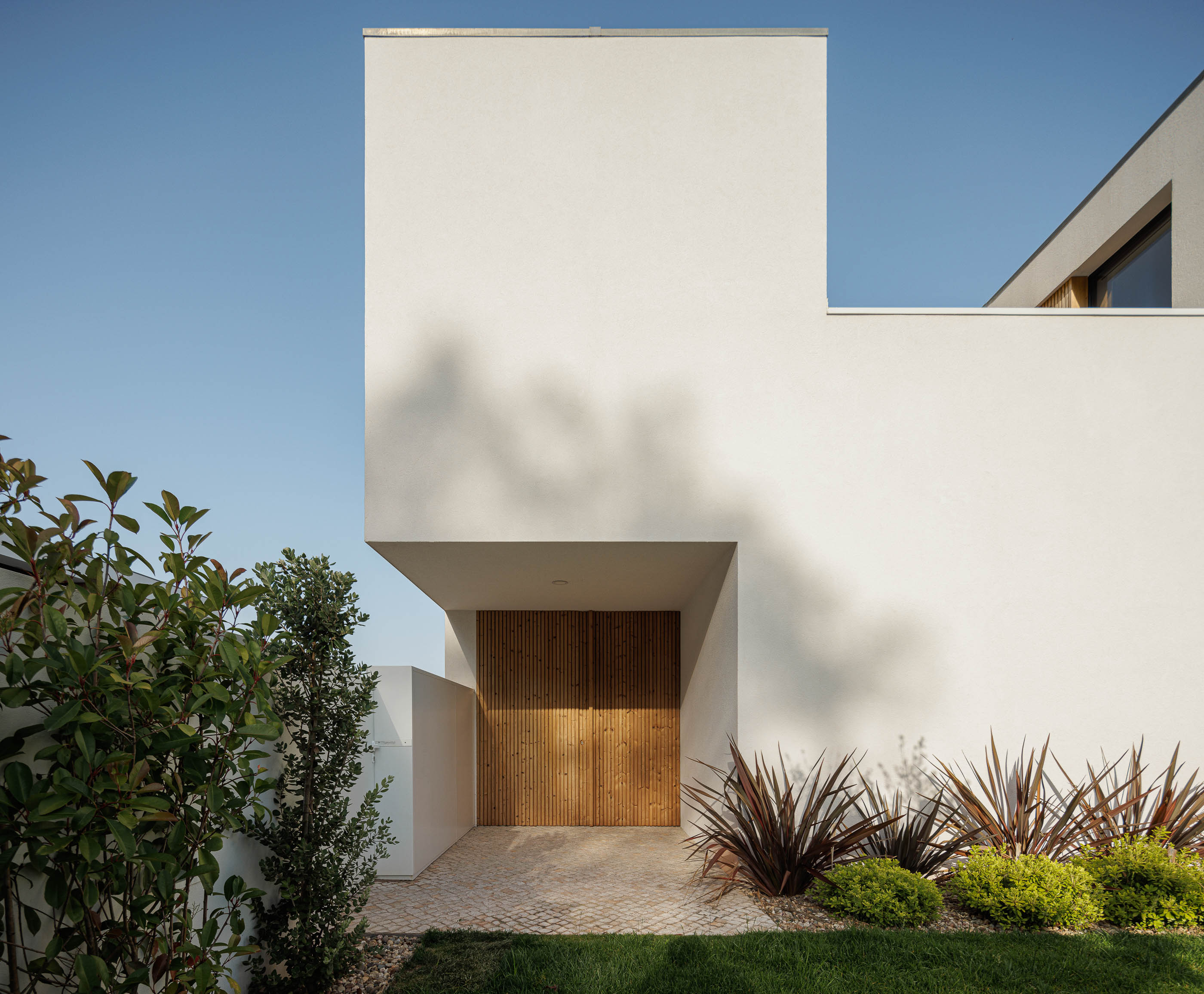 Fachada da casa com porta em madeira ripada. Arquitetura moderna com volumes brancos e jardim. — Casa JC arquitetura Mário Alves Arquitecto em Coimbra