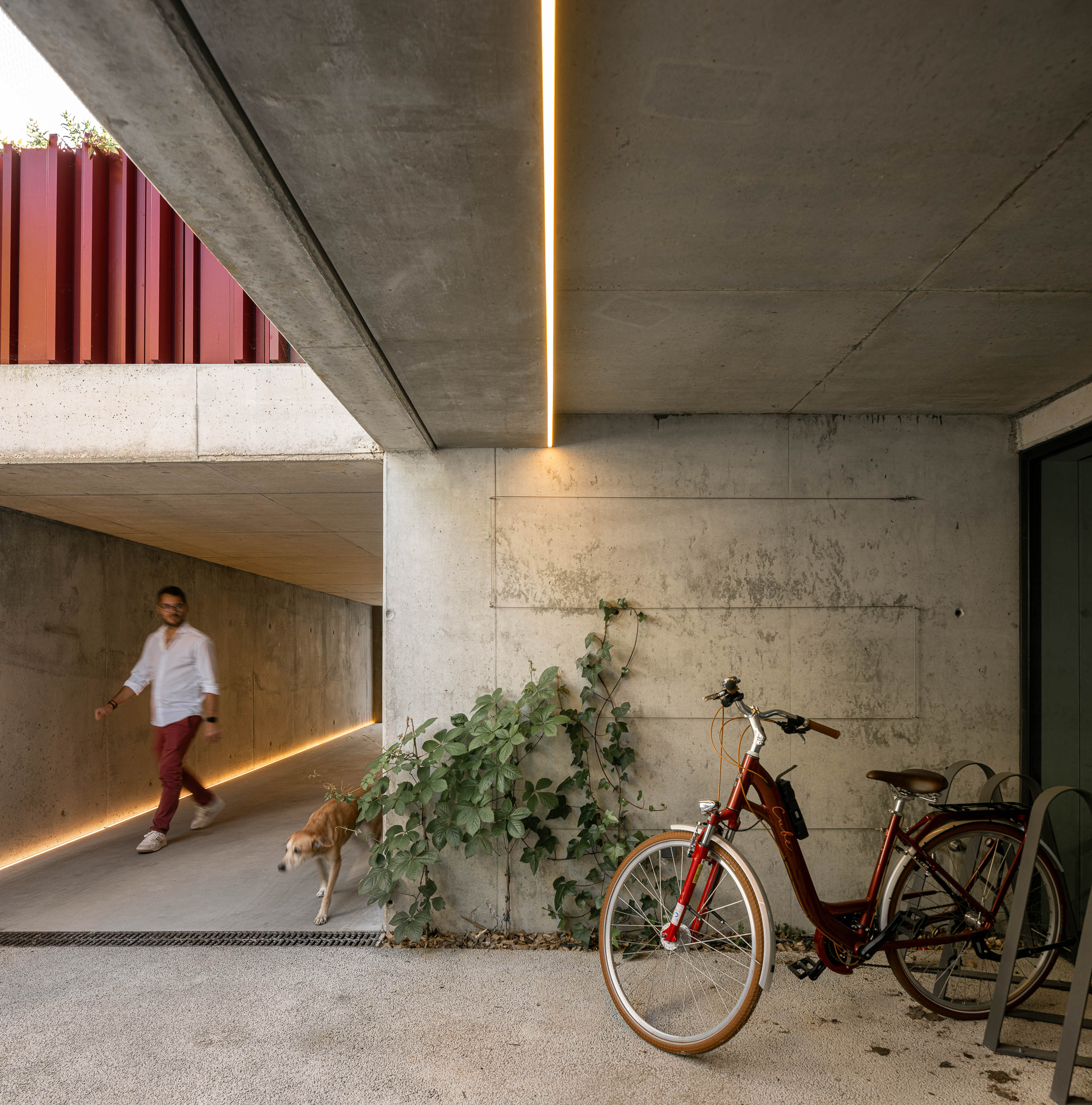 Garagem: Acesso à garagem subterrânea com iluminação linear e bicicleta encostada. — Casa do Parque arquitetura Paulo Martins Arquitectura e Design em Aveiro