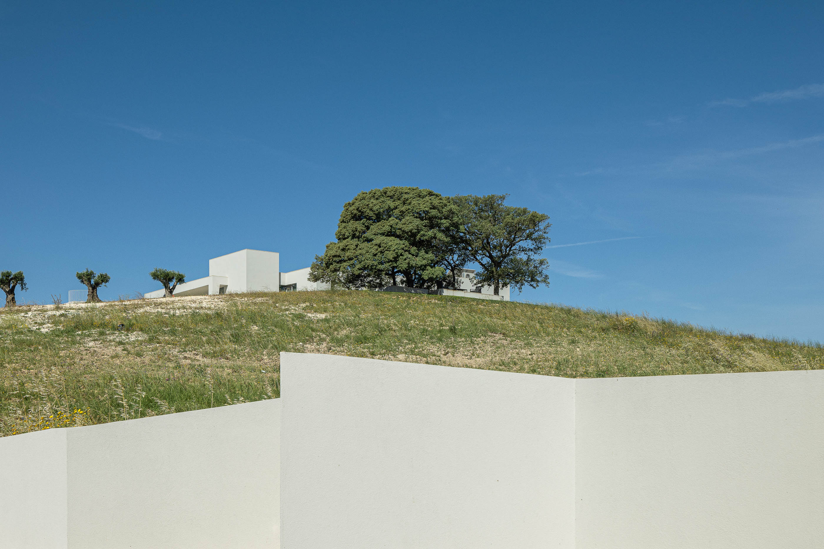Exterior: Vista da casa branca no topo de uma colina, com muros brancos em primeiro plano e vegetação rasteira. — Casa na Romeira arquitetura dp arquitectos em Santarém
