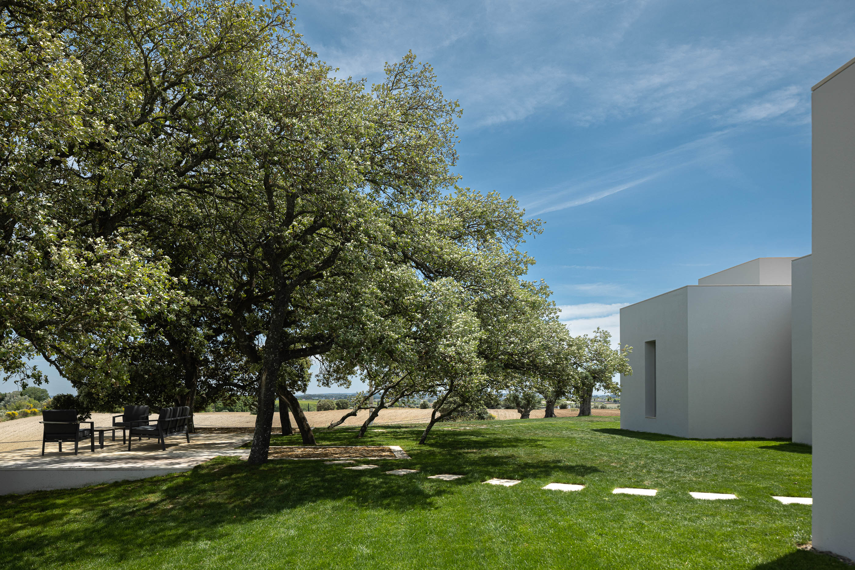 Jardim: Zona de estar exterior com sofás pretos sob a sombra de sobreiros, pavimento em relva com passadeiras de pedra. — Casa na Romeira arquitetura dp arquitectos em Santarém