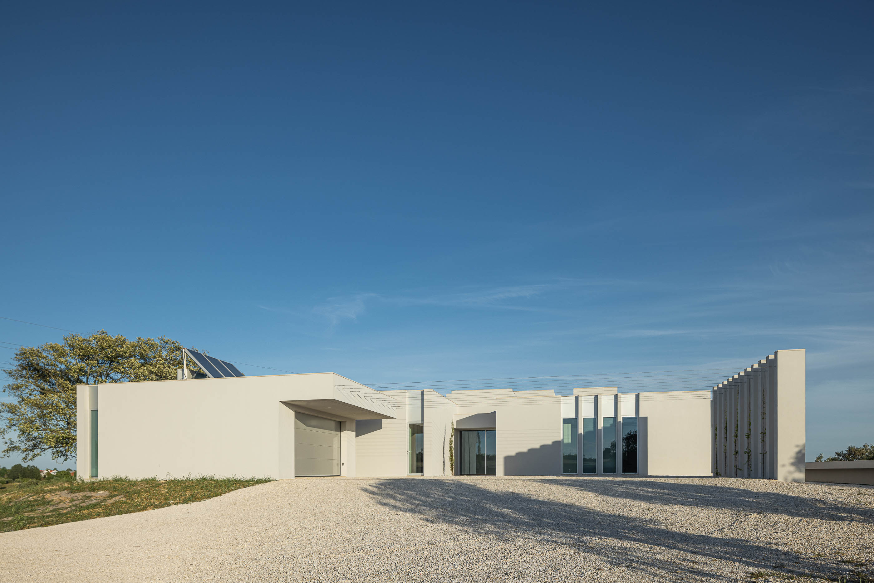 Entrada: Detalhe da entrada principal da casa com porta de vidro, jardim de seixo branco e cipreste. — Casa na Romeira arquitetura dp arquitectos em Santarém