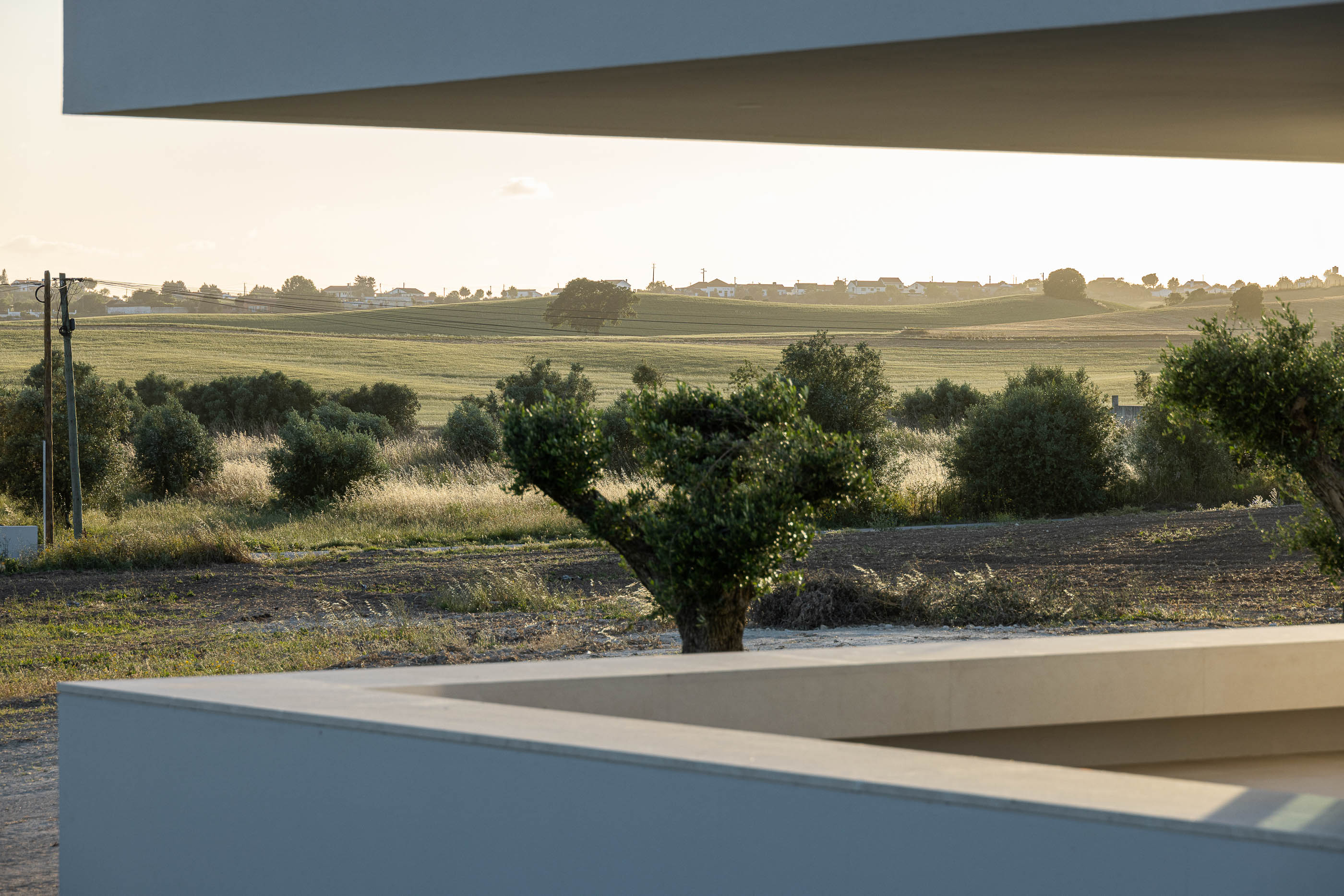 Piscina: Alpendre com vista para a piscina e paisagem rural ao entardecer. — Casa na Romeira arquitetura dp arquitectos em Santarém