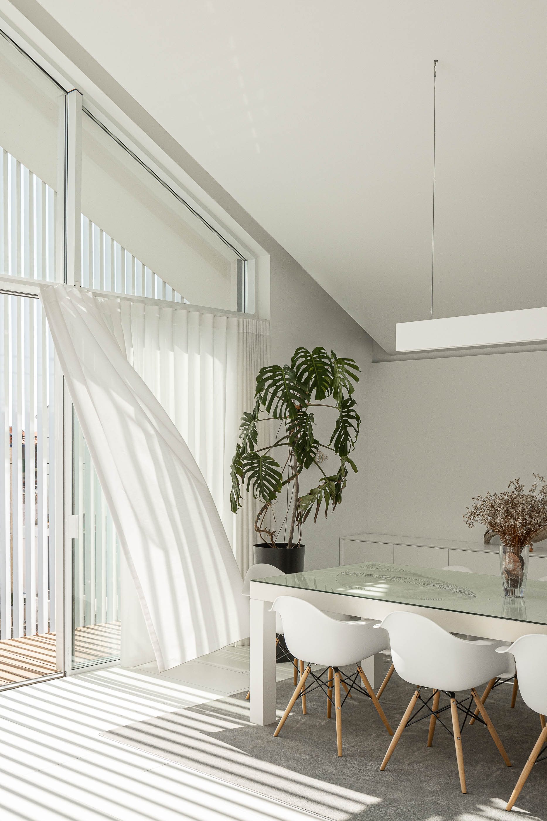 Sala de jantar: Mesa de jantar com cadeiras brancas, cortinas brancas e planta decorativa. — Casa Cor de Sal arquitetura Rómulo Neto Arquitectos em Ílhavo
