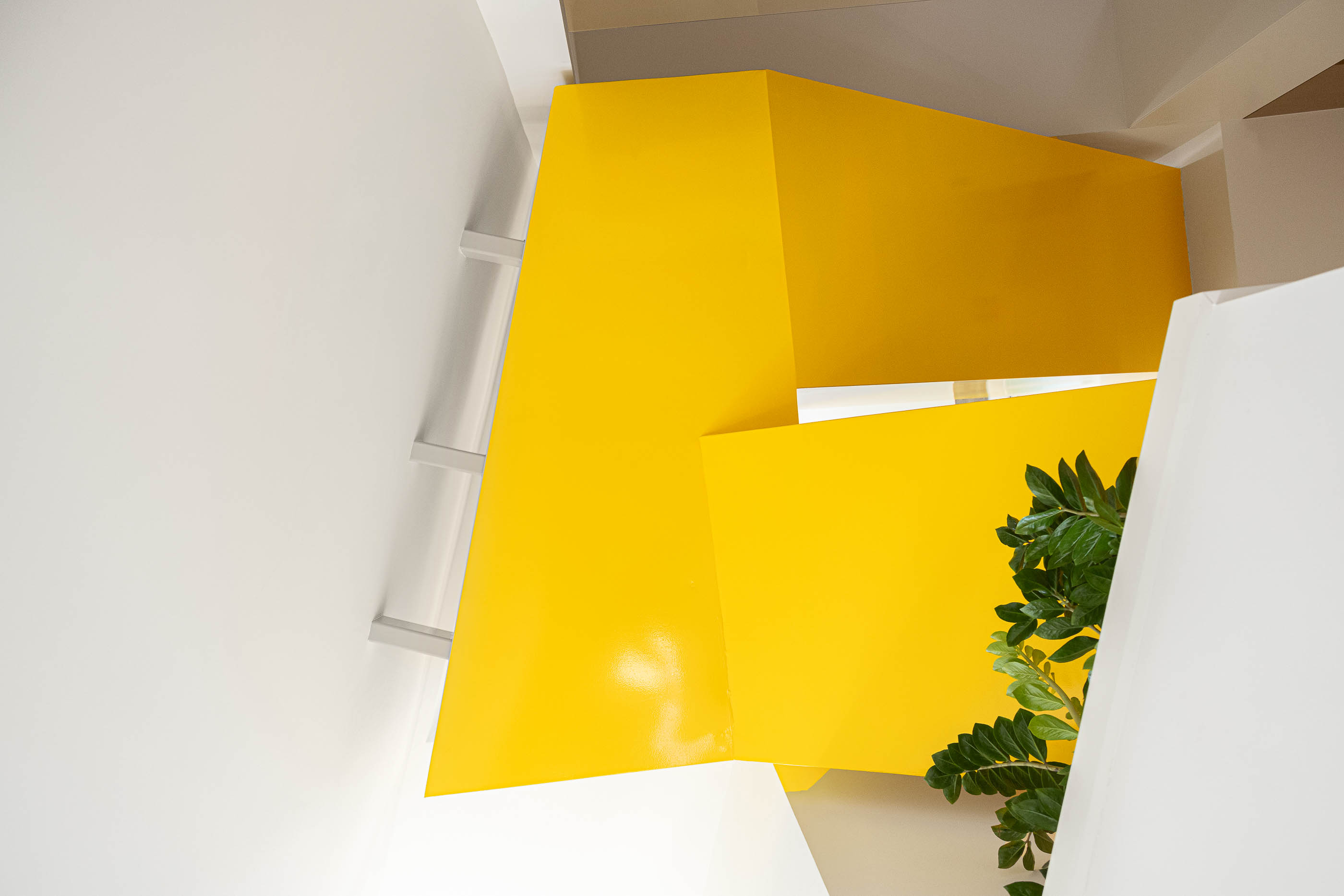 Escada: Detalhe da escada amarela com planta decorativa. — A'mar arquitetura REM'A Arquitectos em Póvoa de Varzim