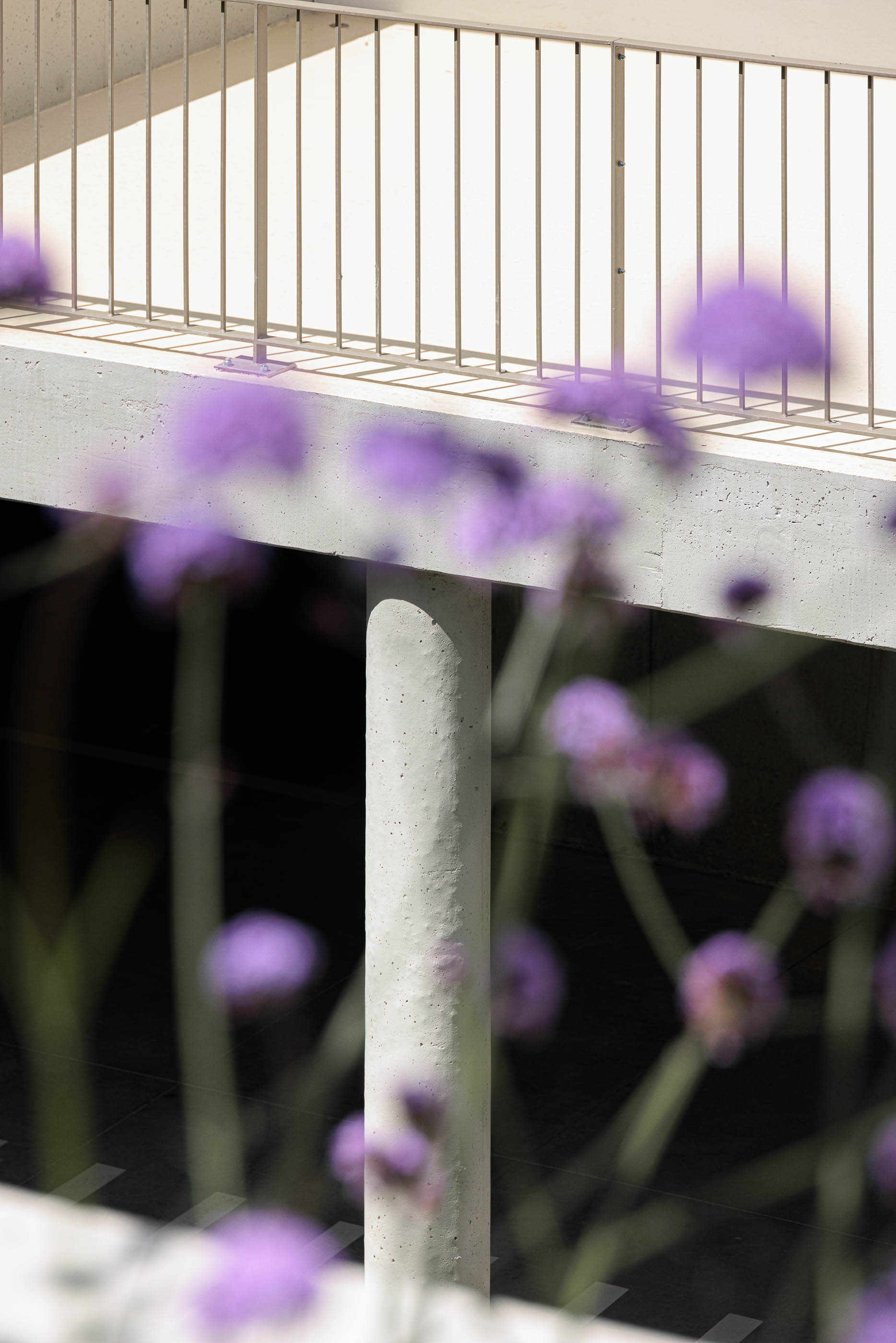 Jardim: Pilar de betão, guarda metálica e flores roxas em primeiro plano. — Varandas de Salgueiros arquitetura Floret Arquitectura em Porto