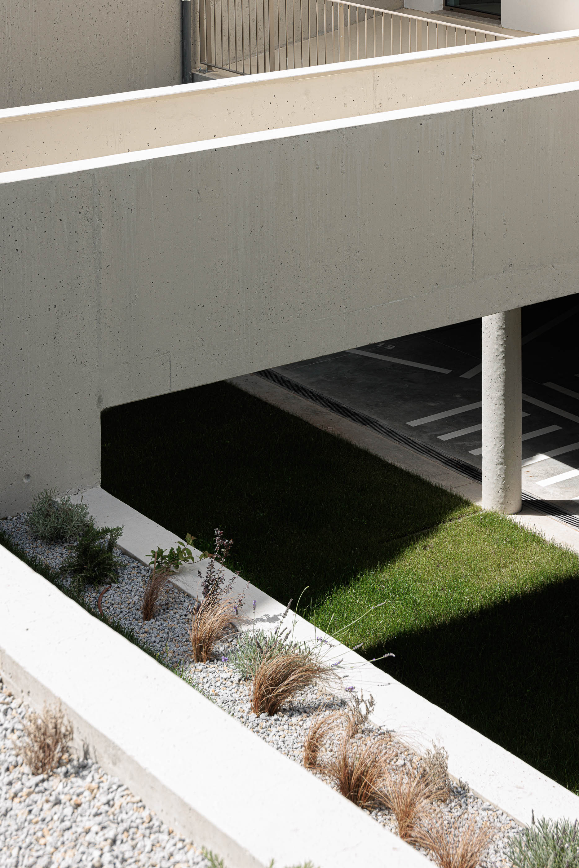 Jardim: Muros de betão, relvado, seixo e vegetação rasteira. — Varandas de Salgueiros arquitetura Floret Arquitectura em Porto