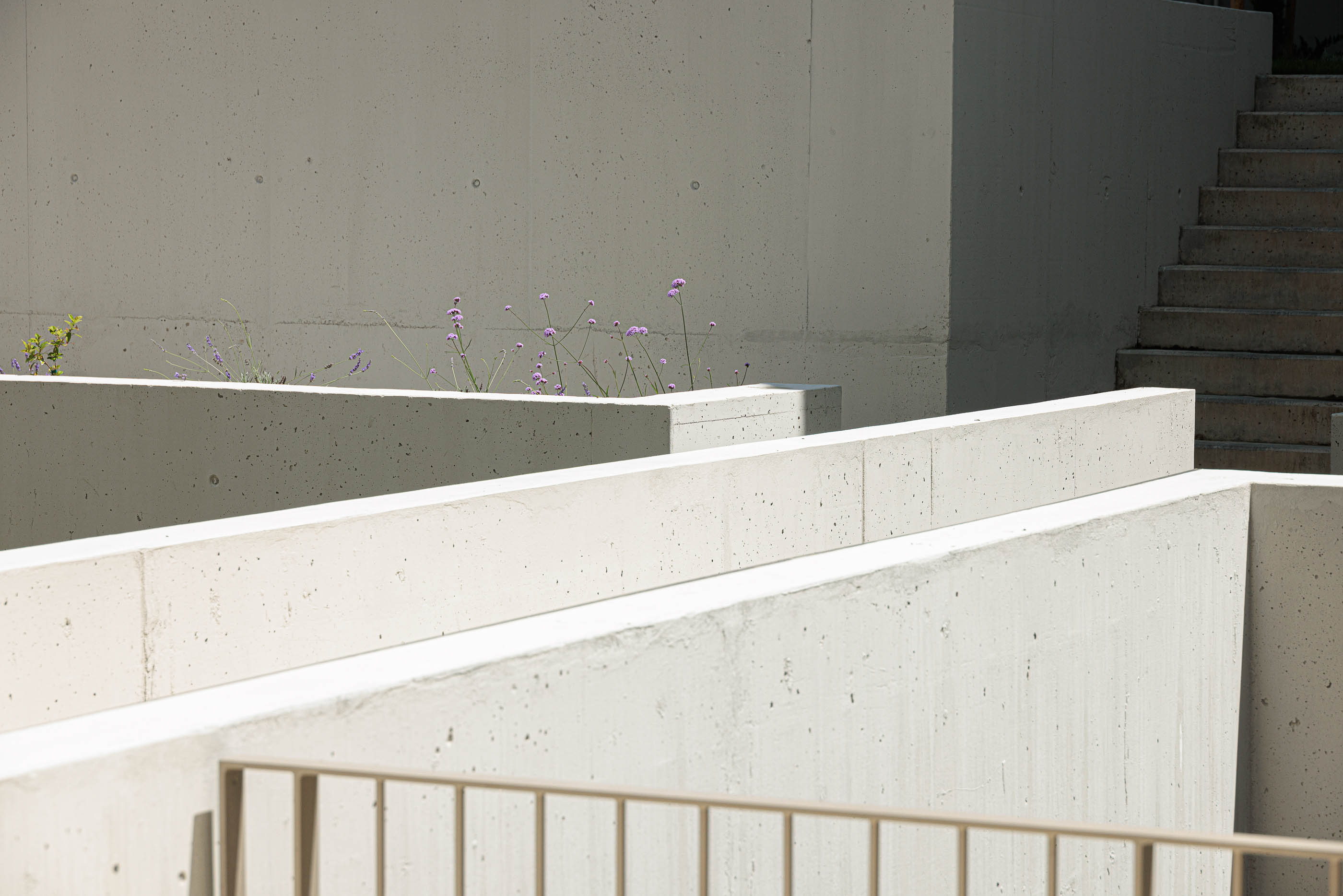 Jardim: Muros de betão, relvado e escadas de acesso. — Varandas de Salgueiros arquitetura Floret Arquitectura em Porto